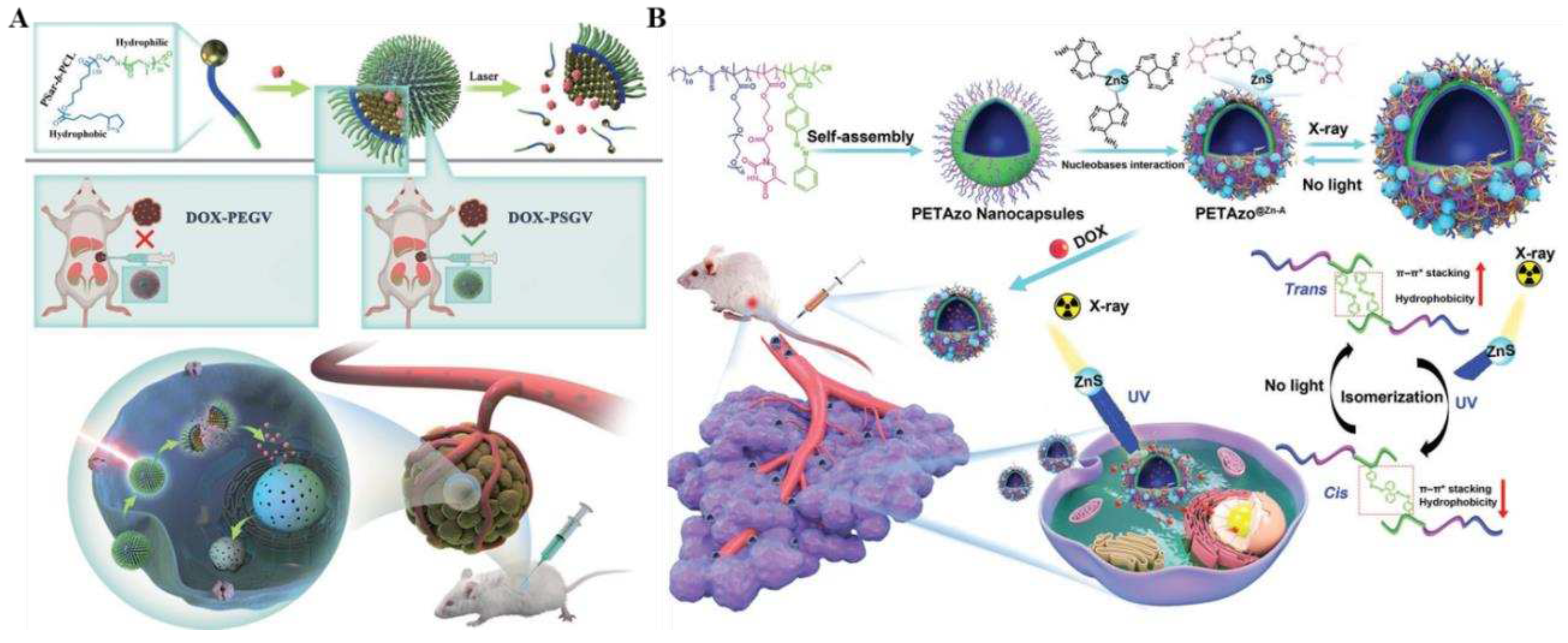 Preprints 97793 g005