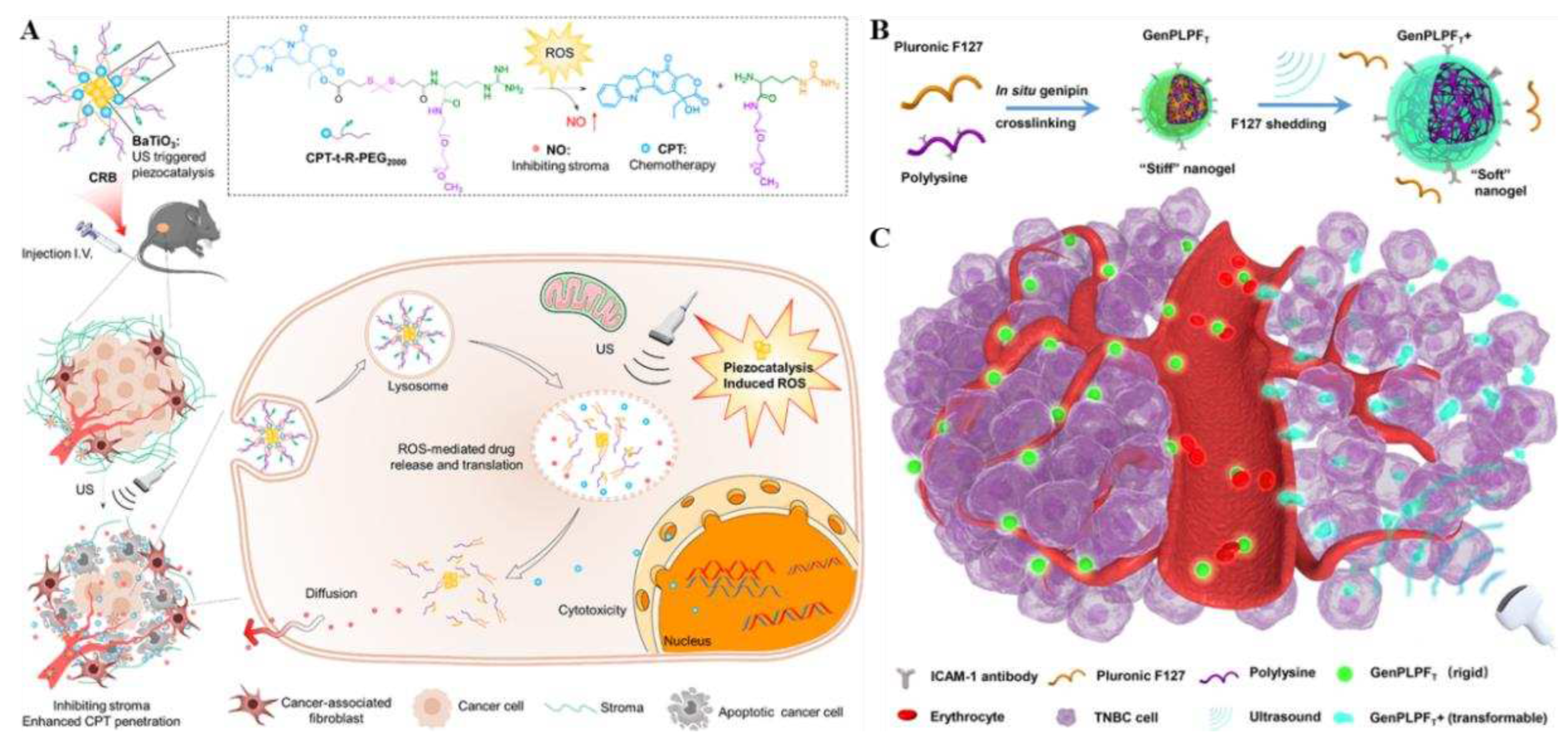 Preprints 97793 g006