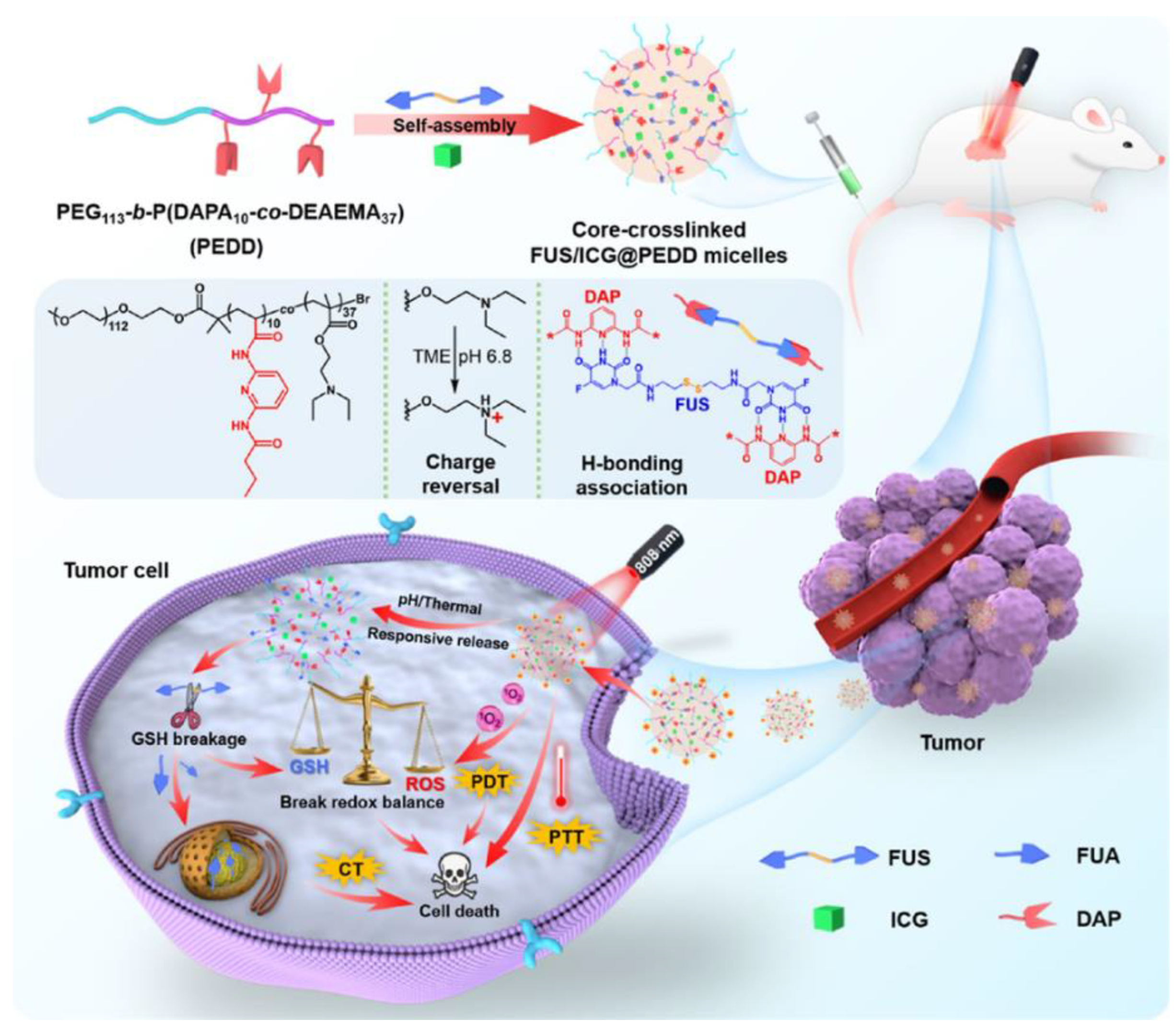 Preprints 97793 g011