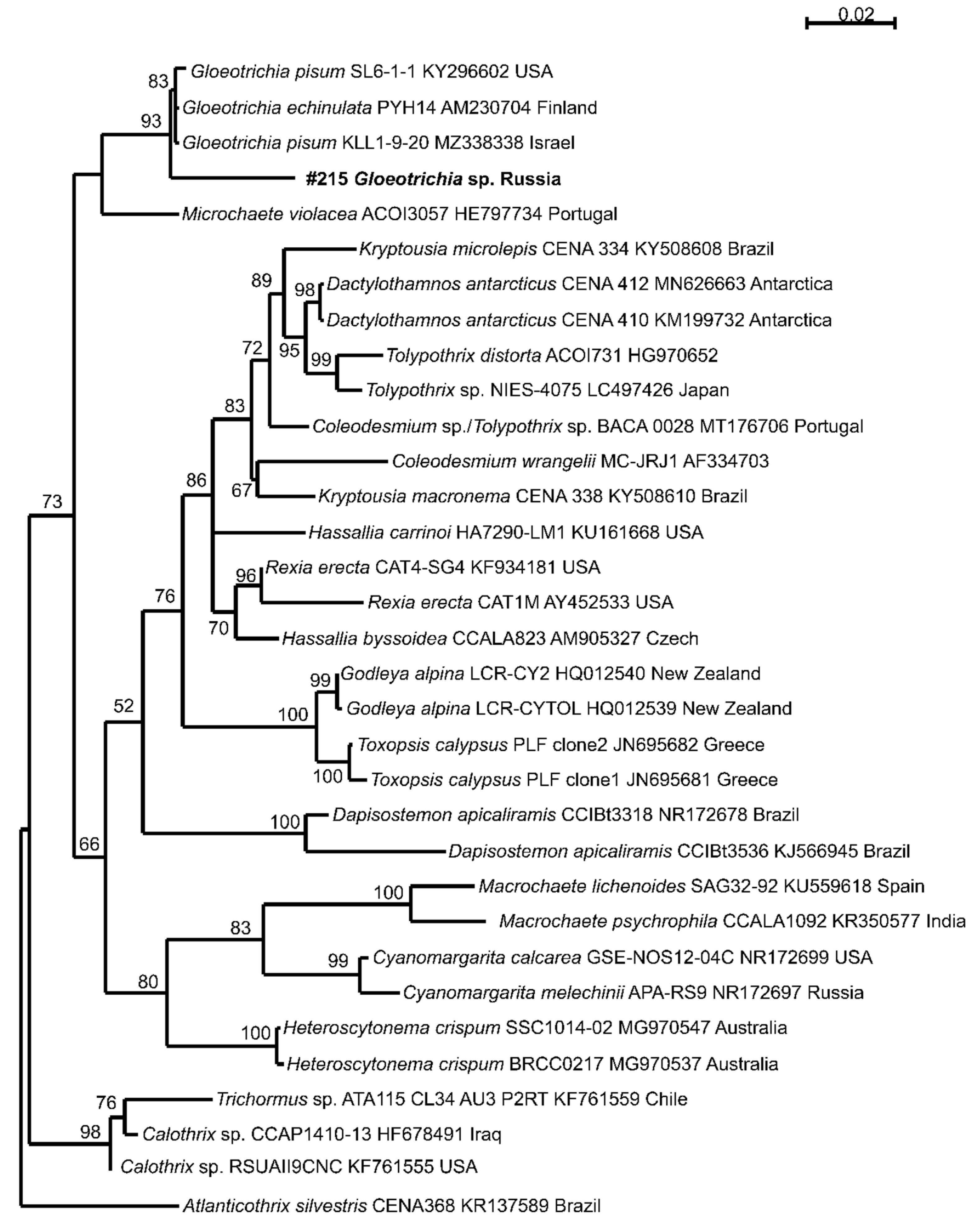 Preprints 74802 g003