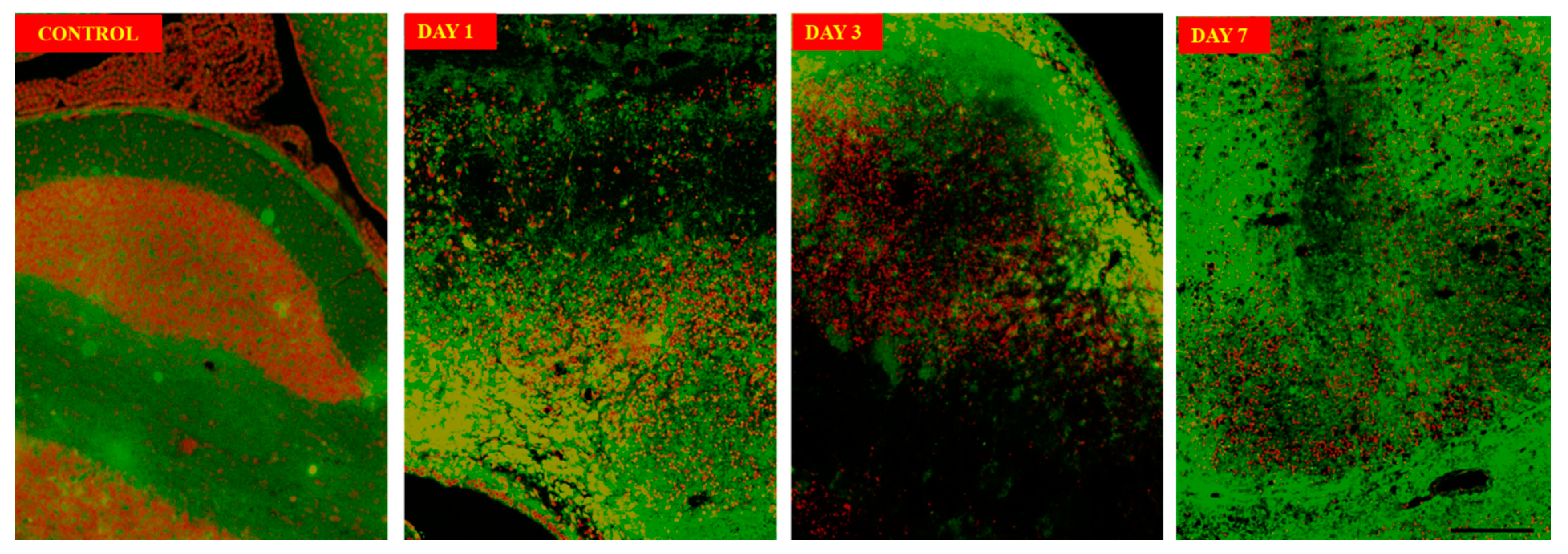 Preprints 78120 g004