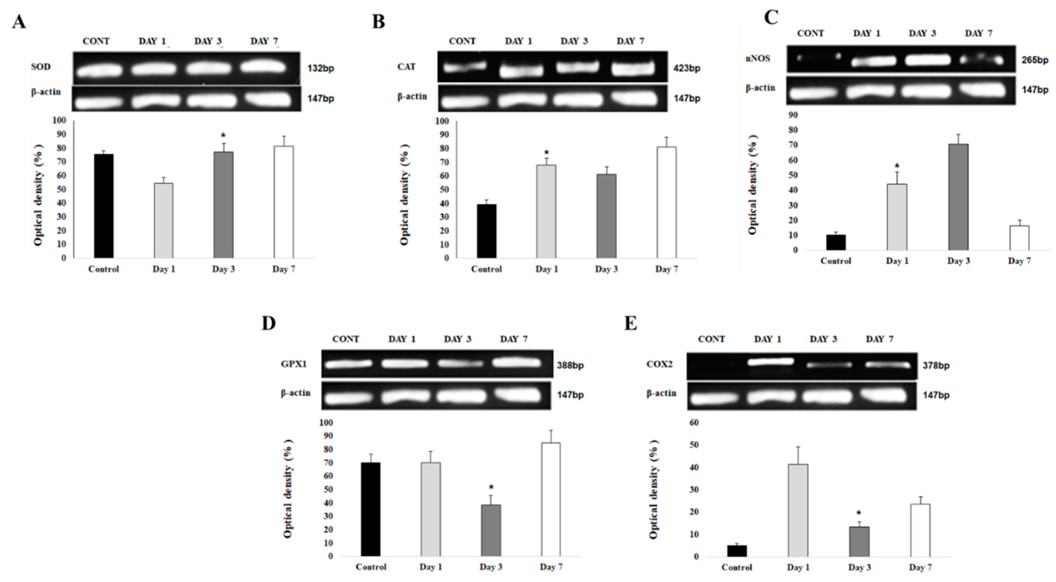 Preprints 78120 g009