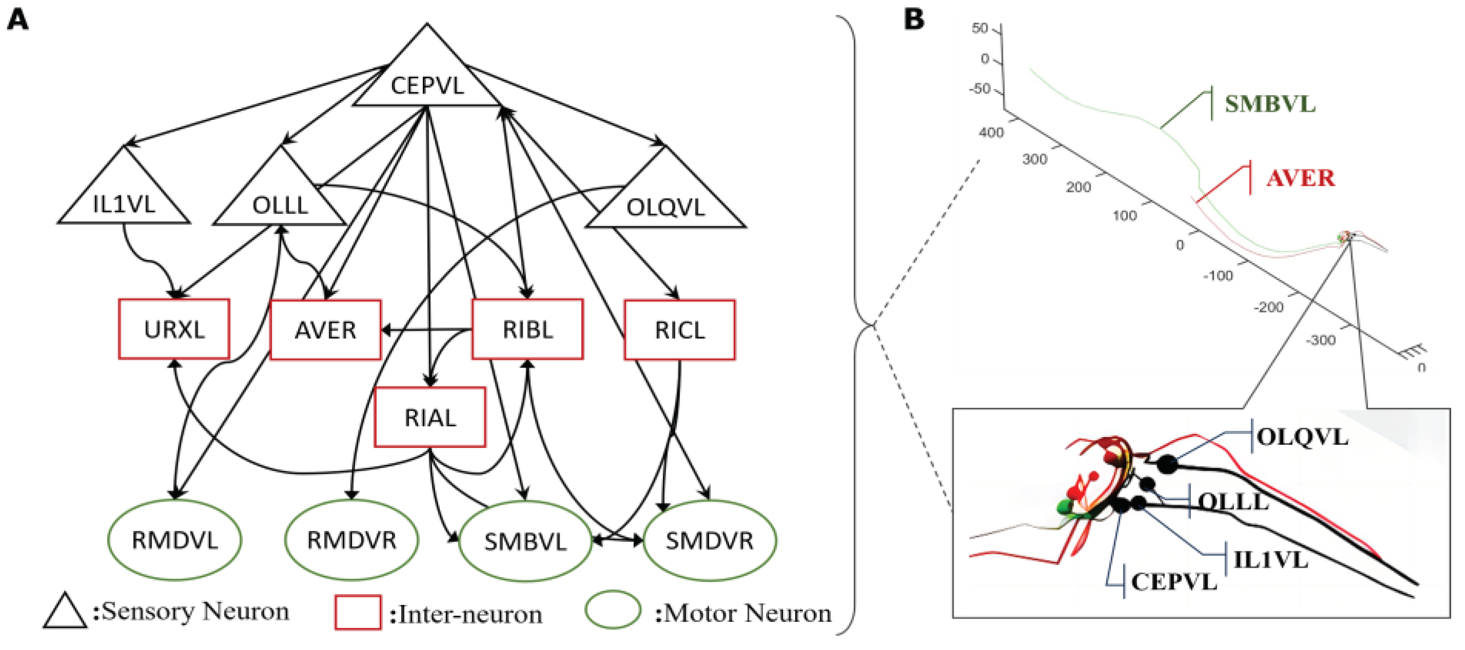 Preprints 102928 g001