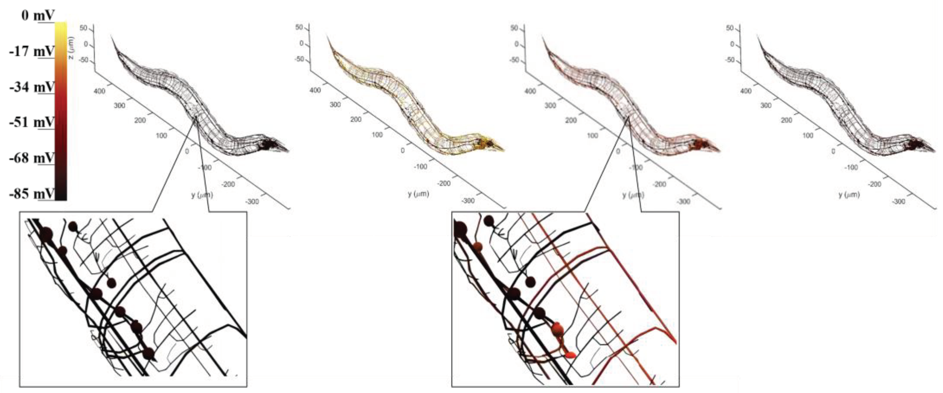 Preprints 102928 g005