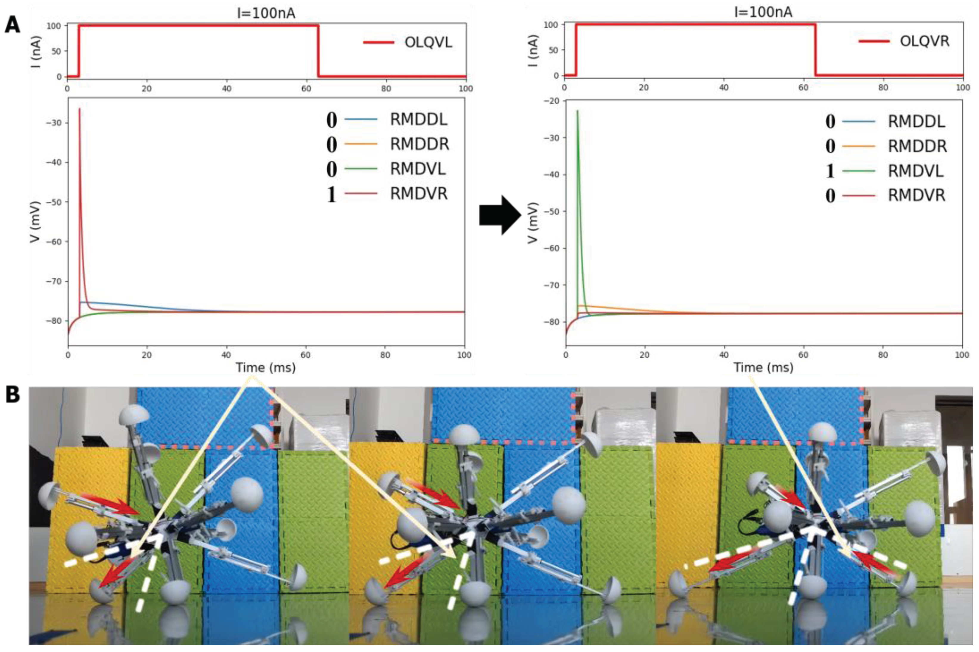 Preprints 102928 g012