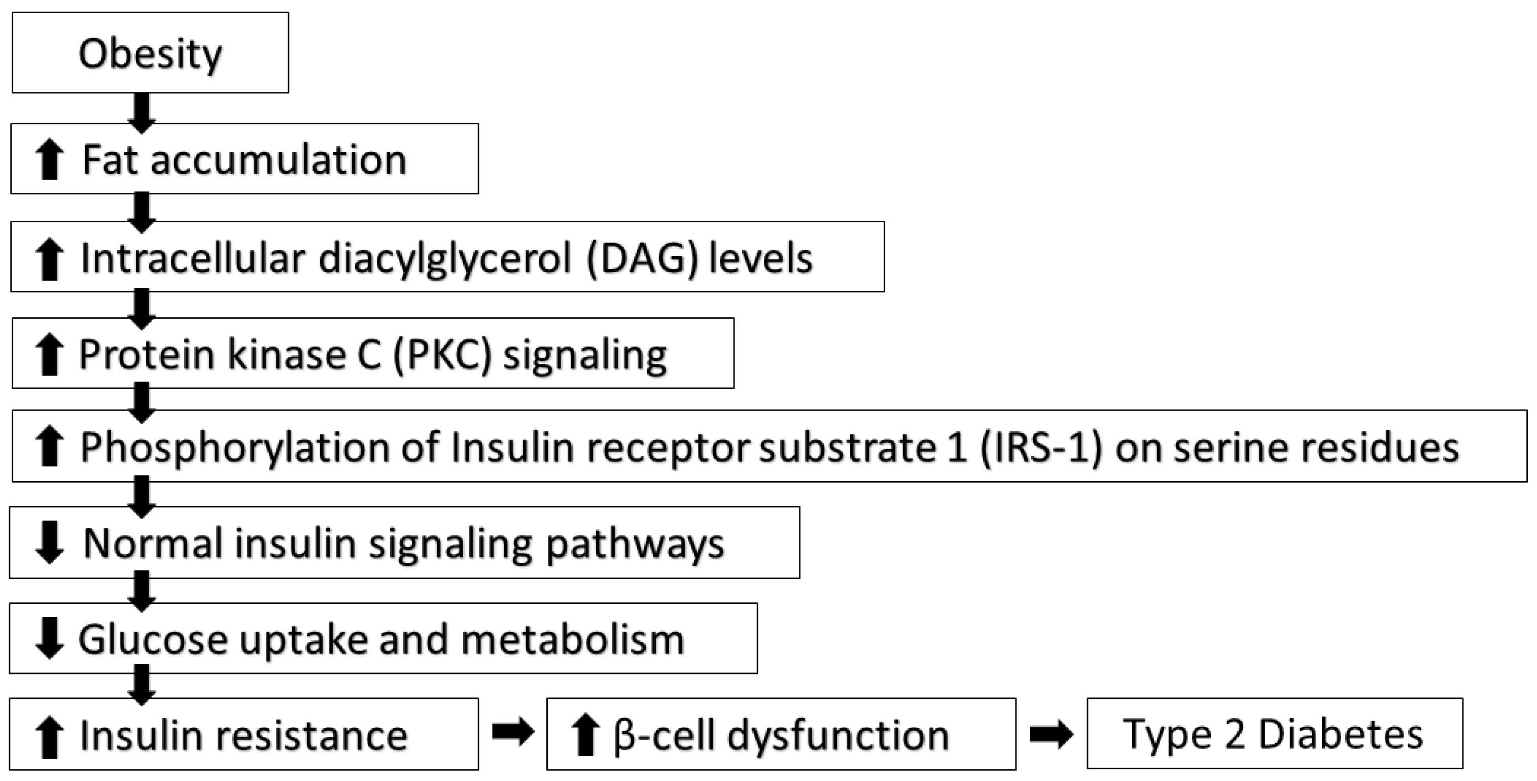 Preprints 116049 g003