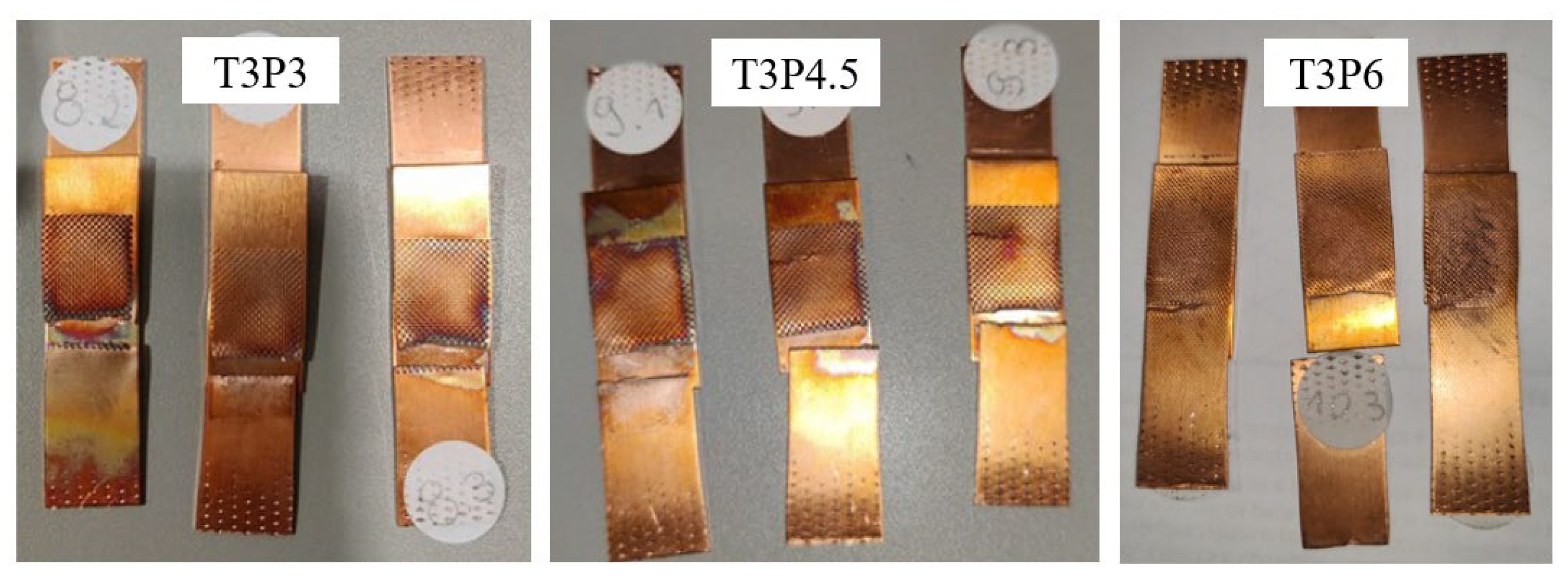 Preprints 110293 g009