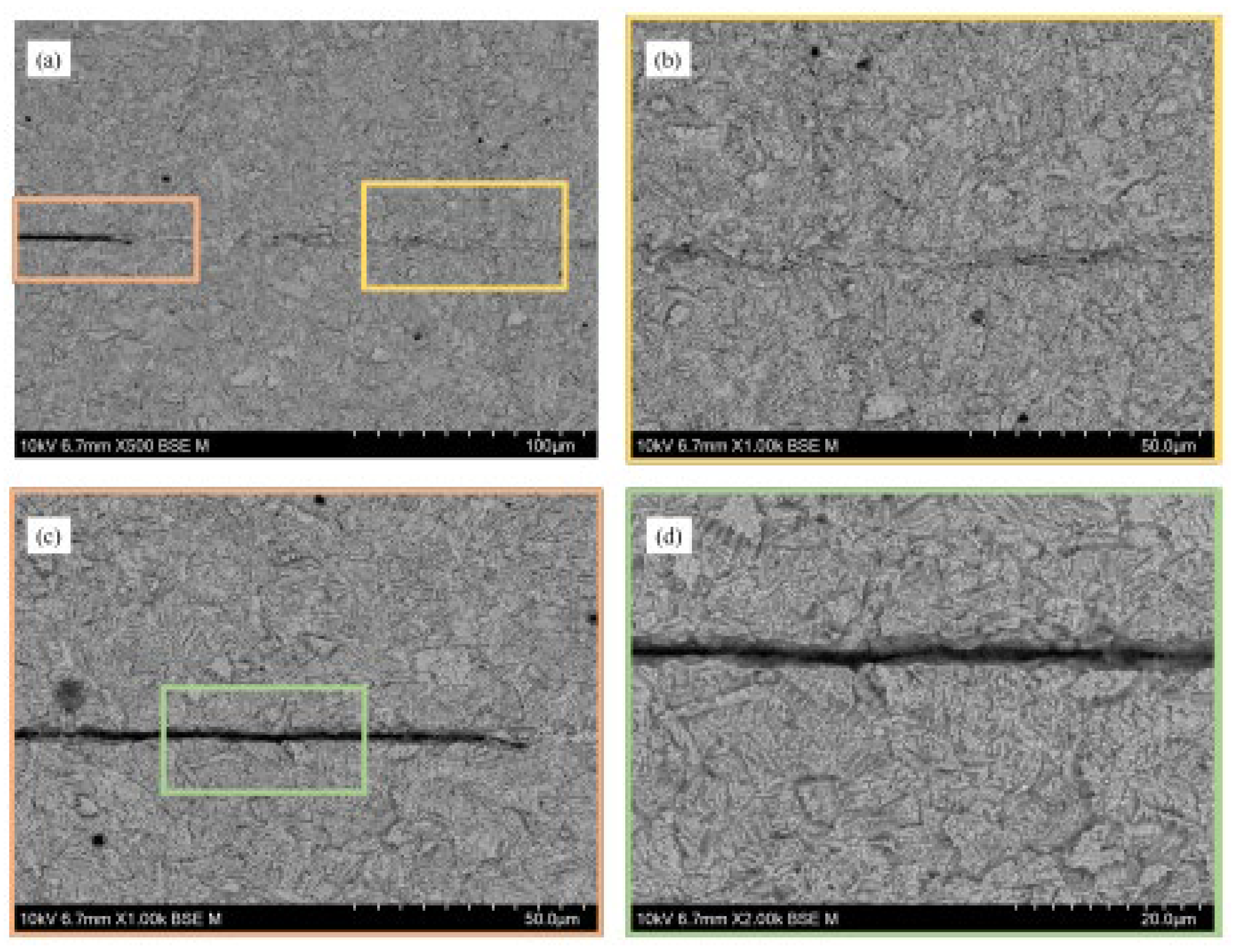 Preprints 110293 g023