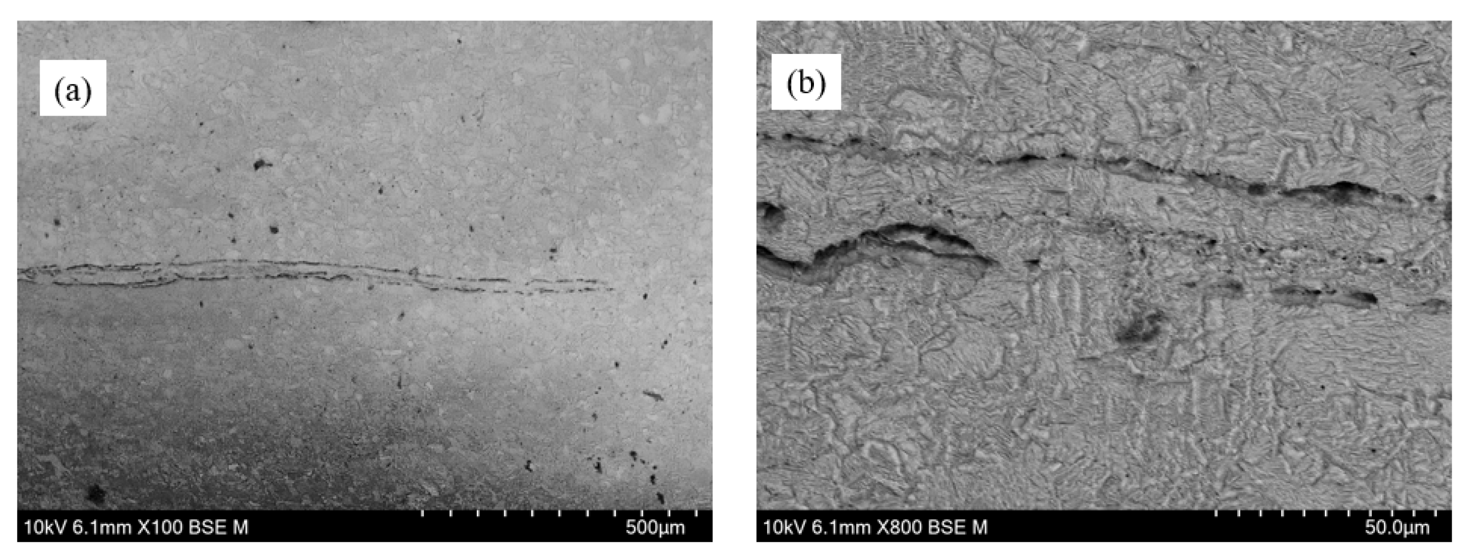 Preprints 110293 g025