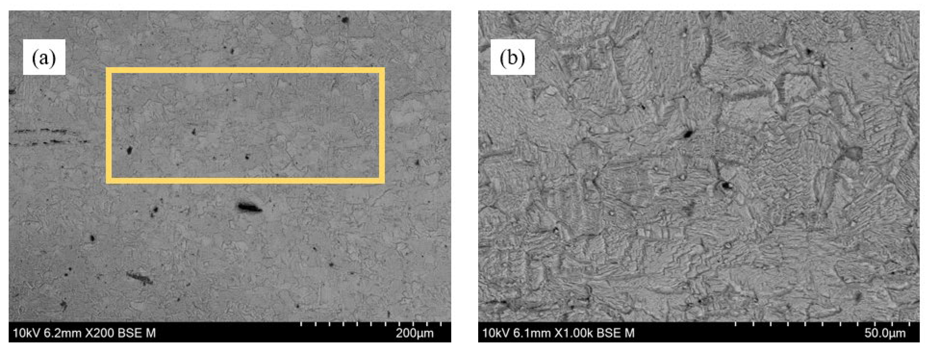 Preprints 110293 g026