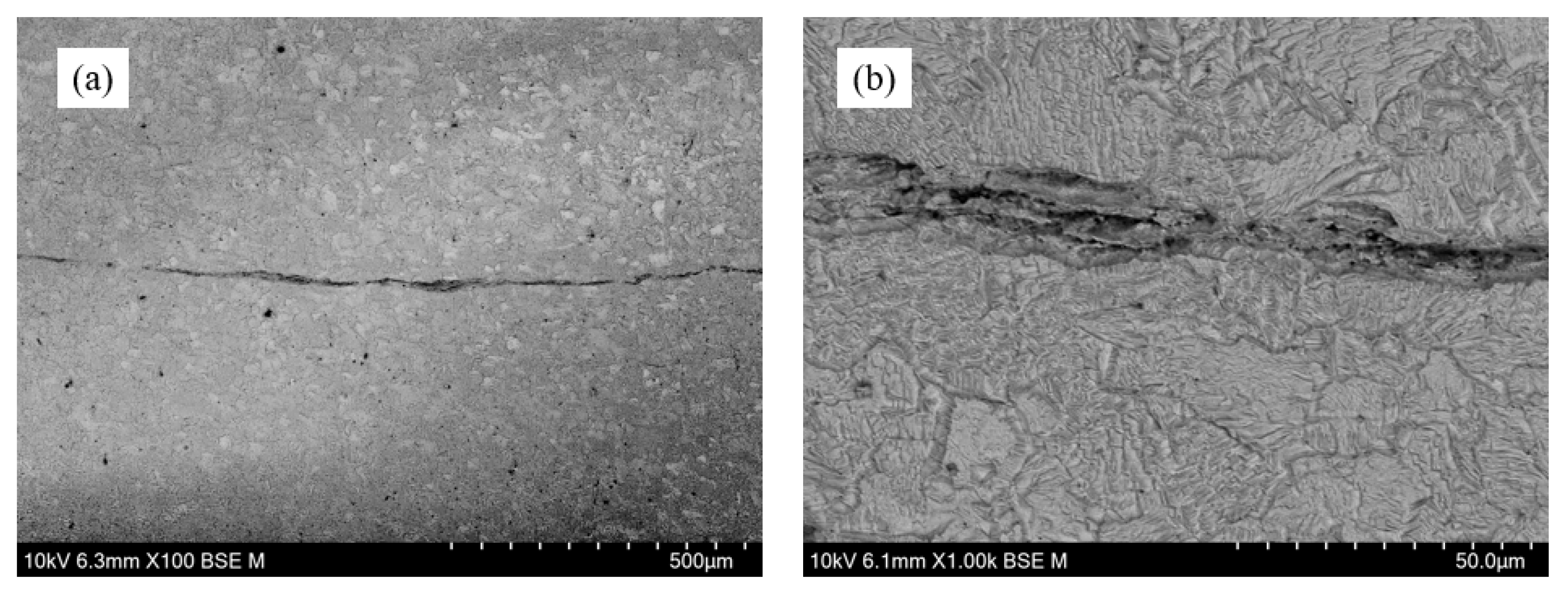 Preprints 110293 g027