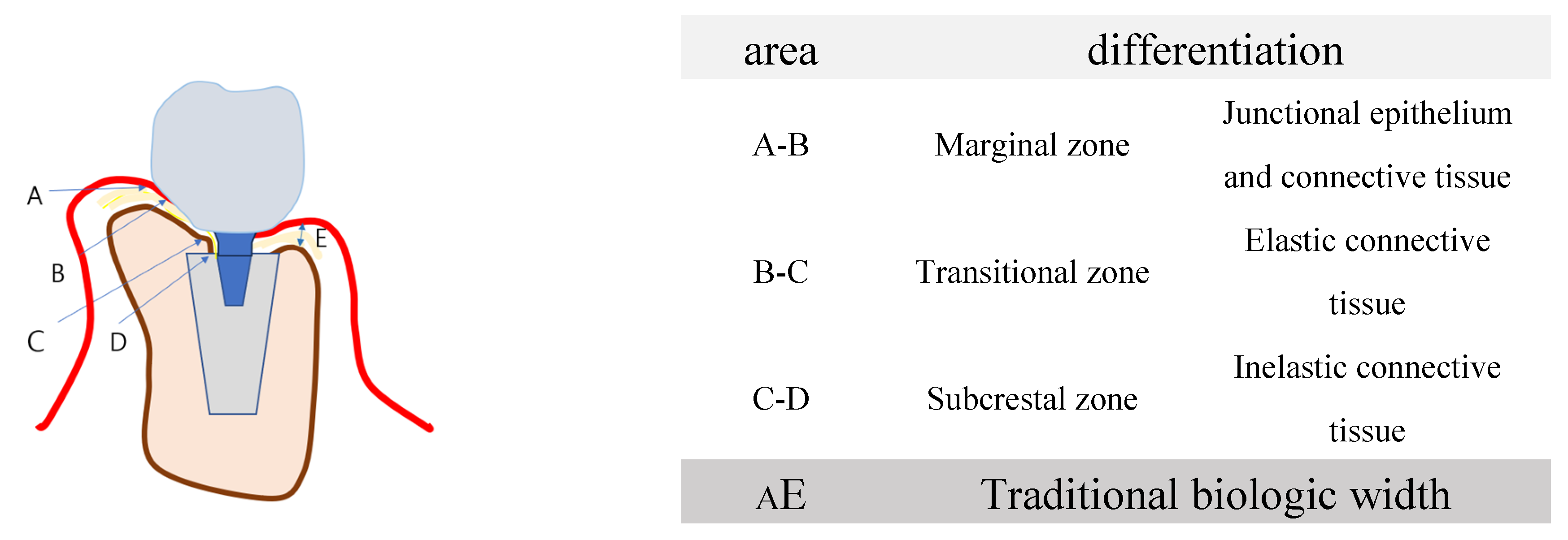 Preprints 103958 g006