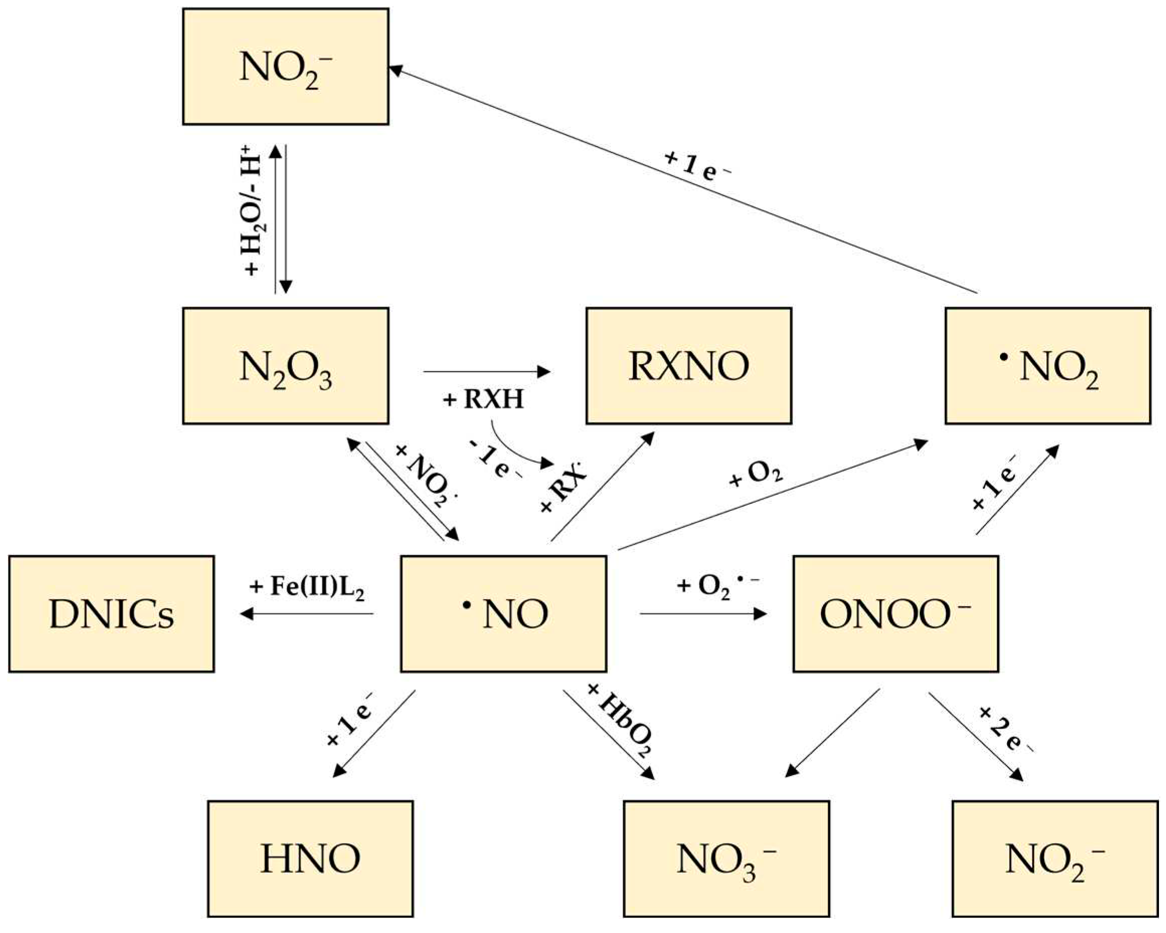 Preprints 93131 g003