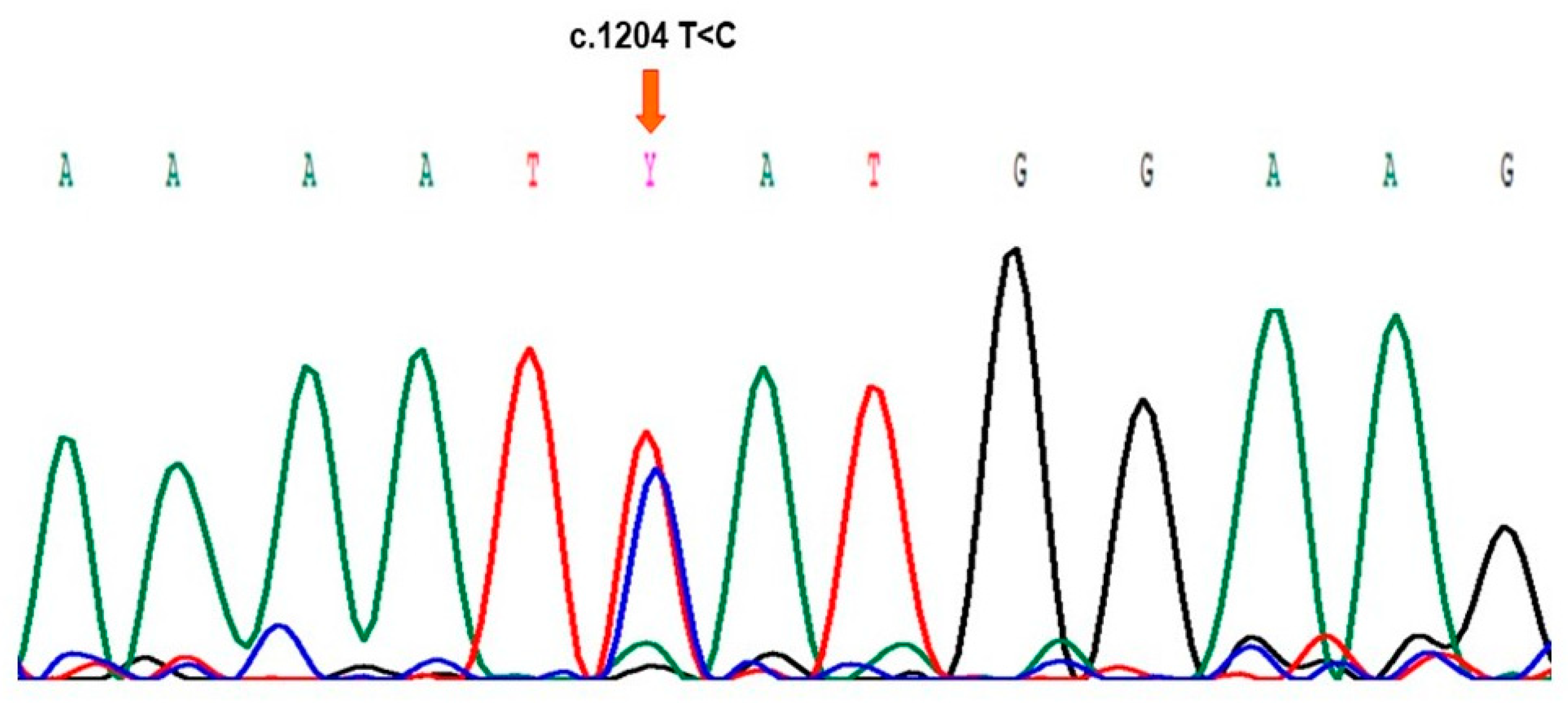 Preprints 76681 g001