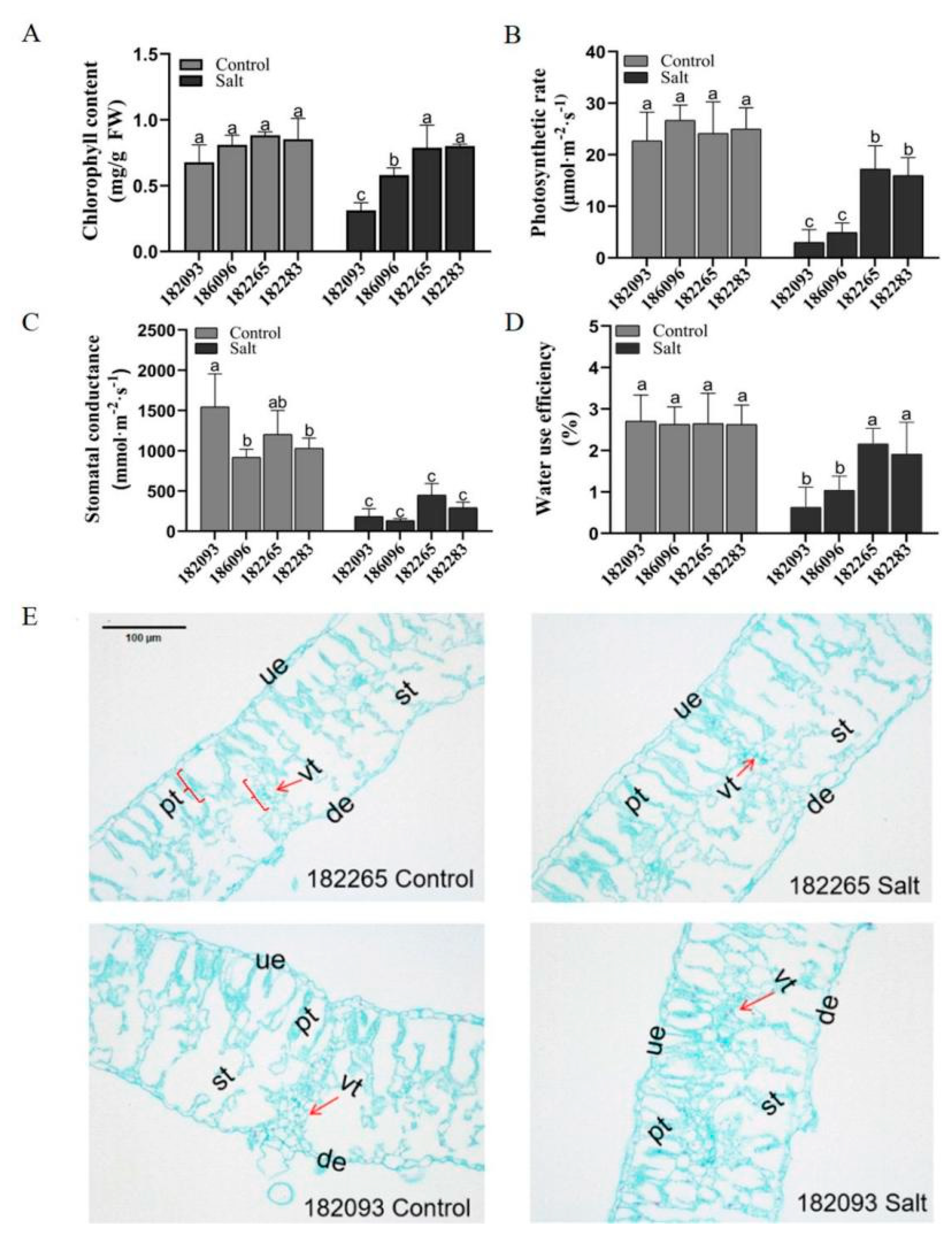 Preprints 122028 g002