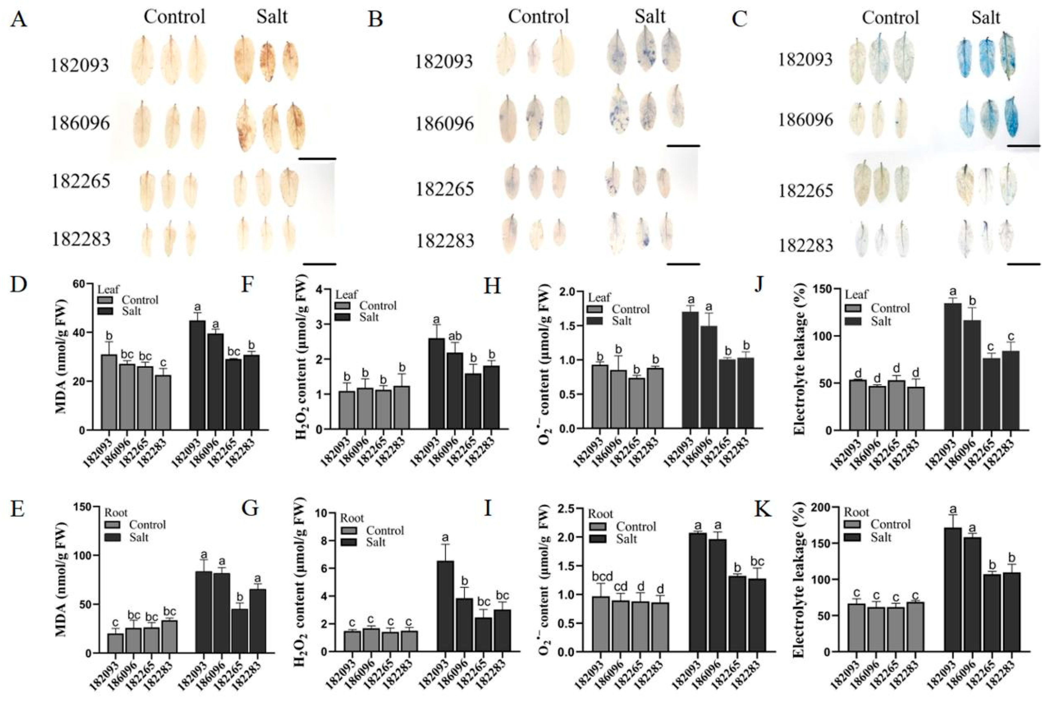 Preprints 122028 g003