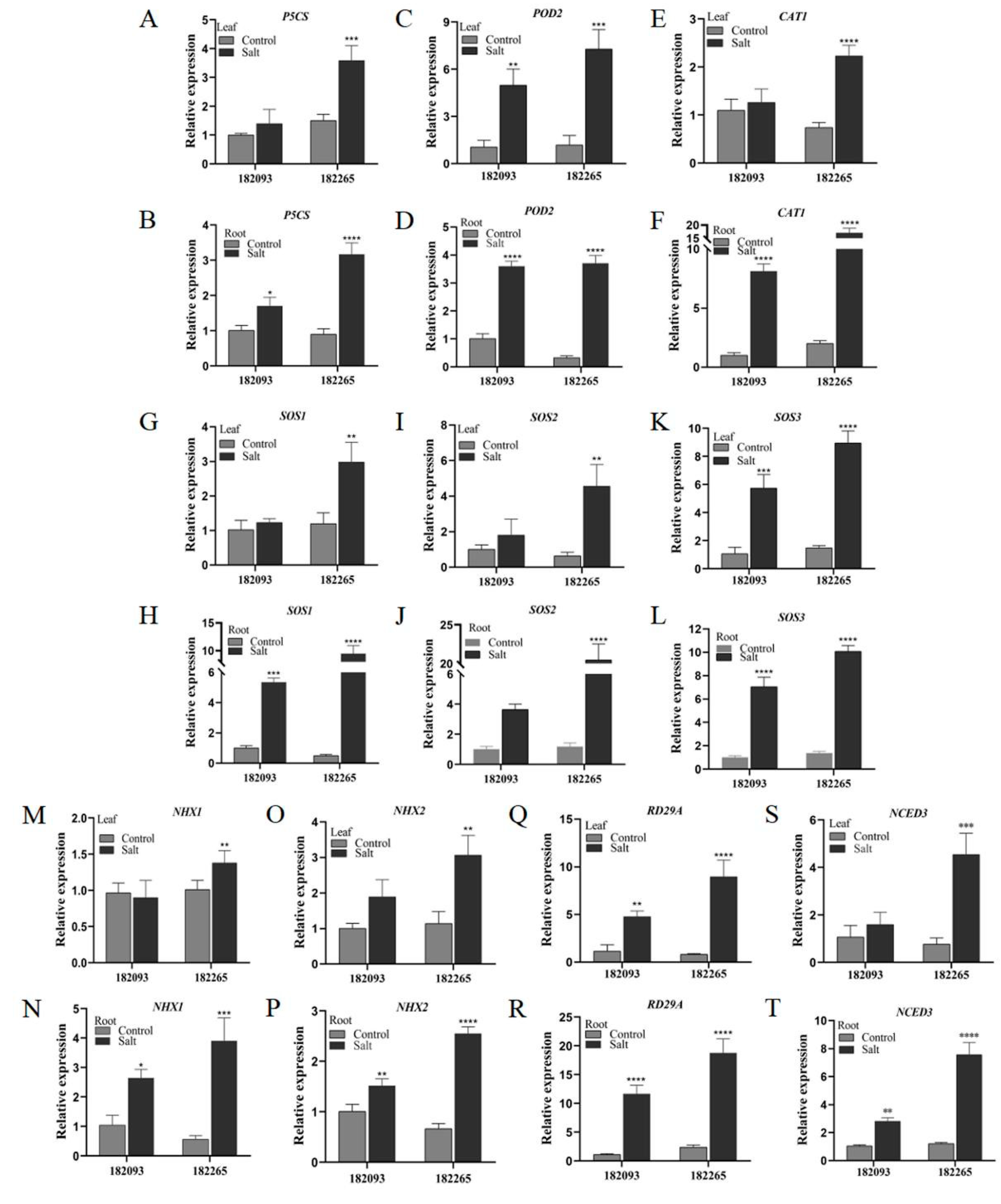 Preprints 122028 g007