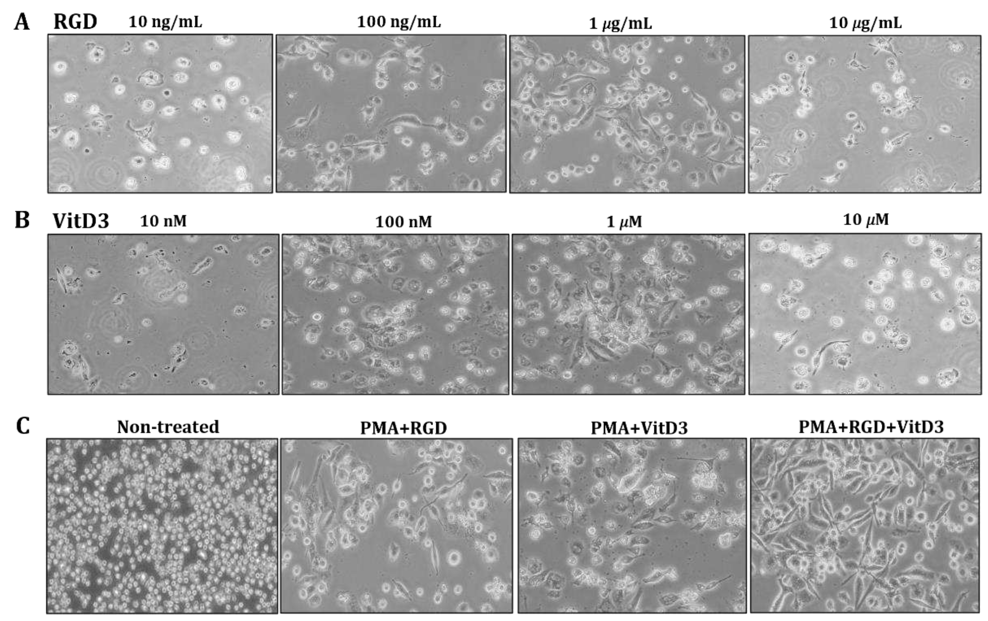 Preprints 73995 g002