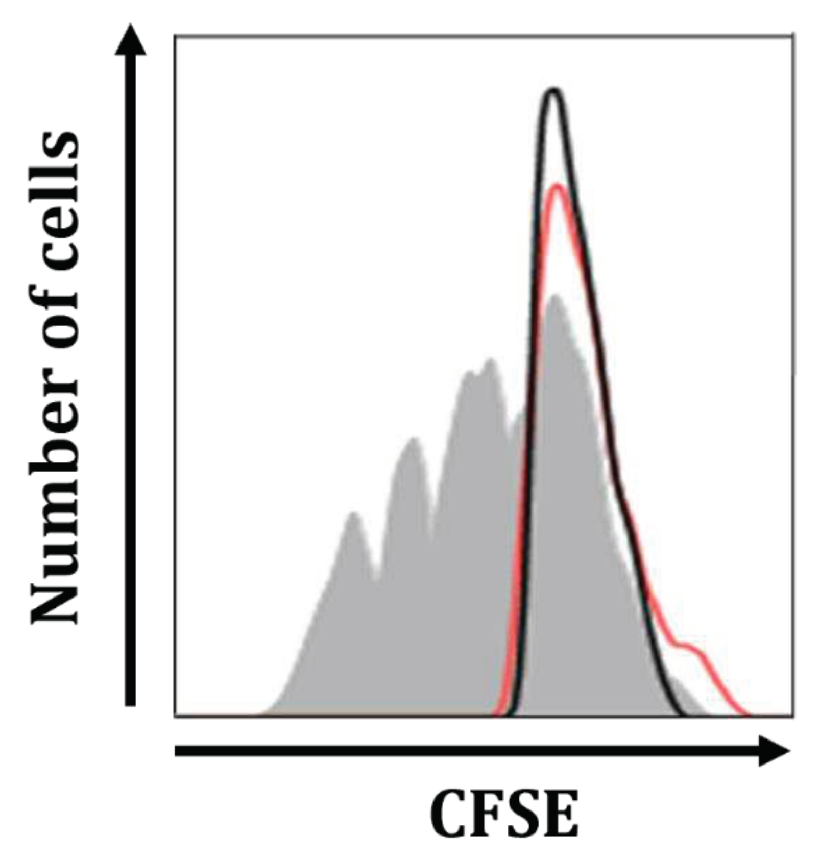 Preprints 73995 g010