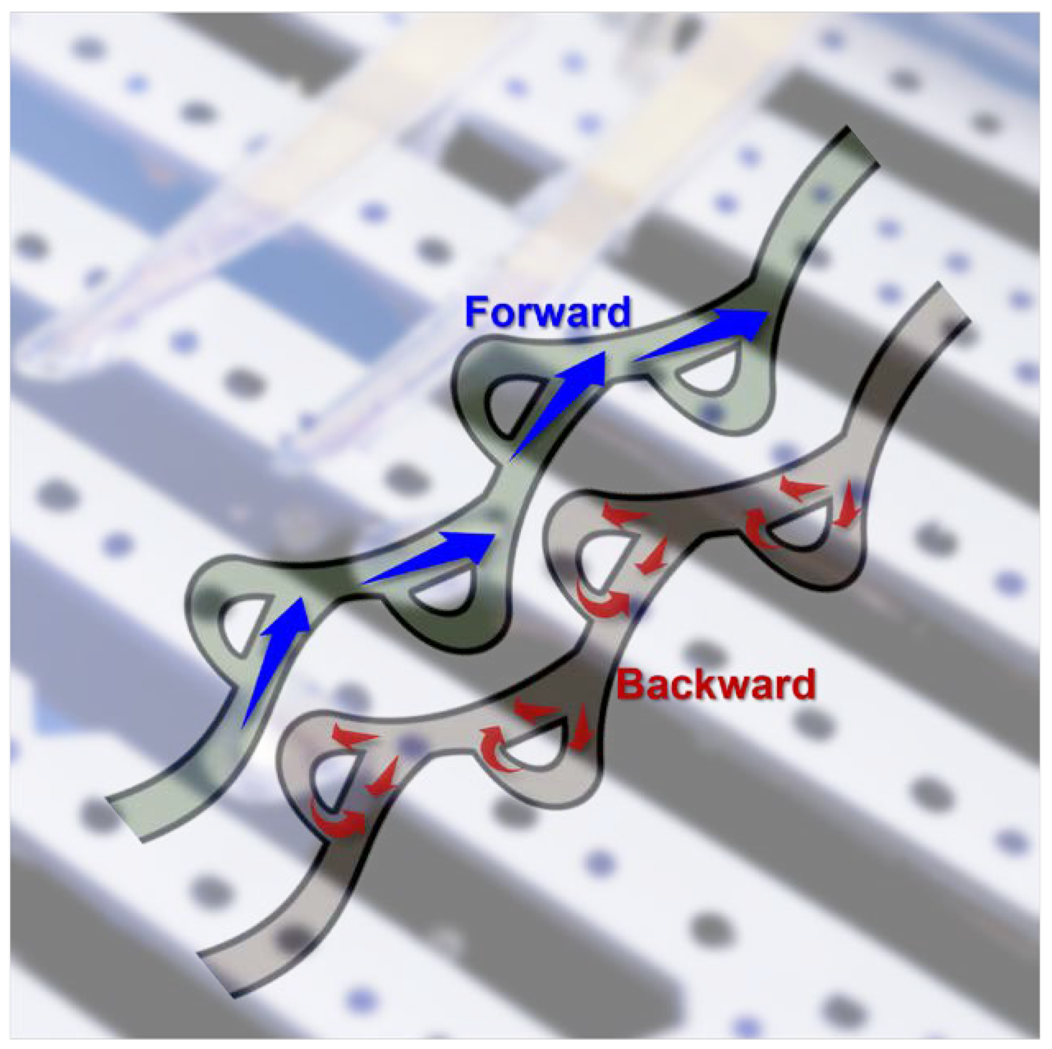 Preprints 70406 sch001