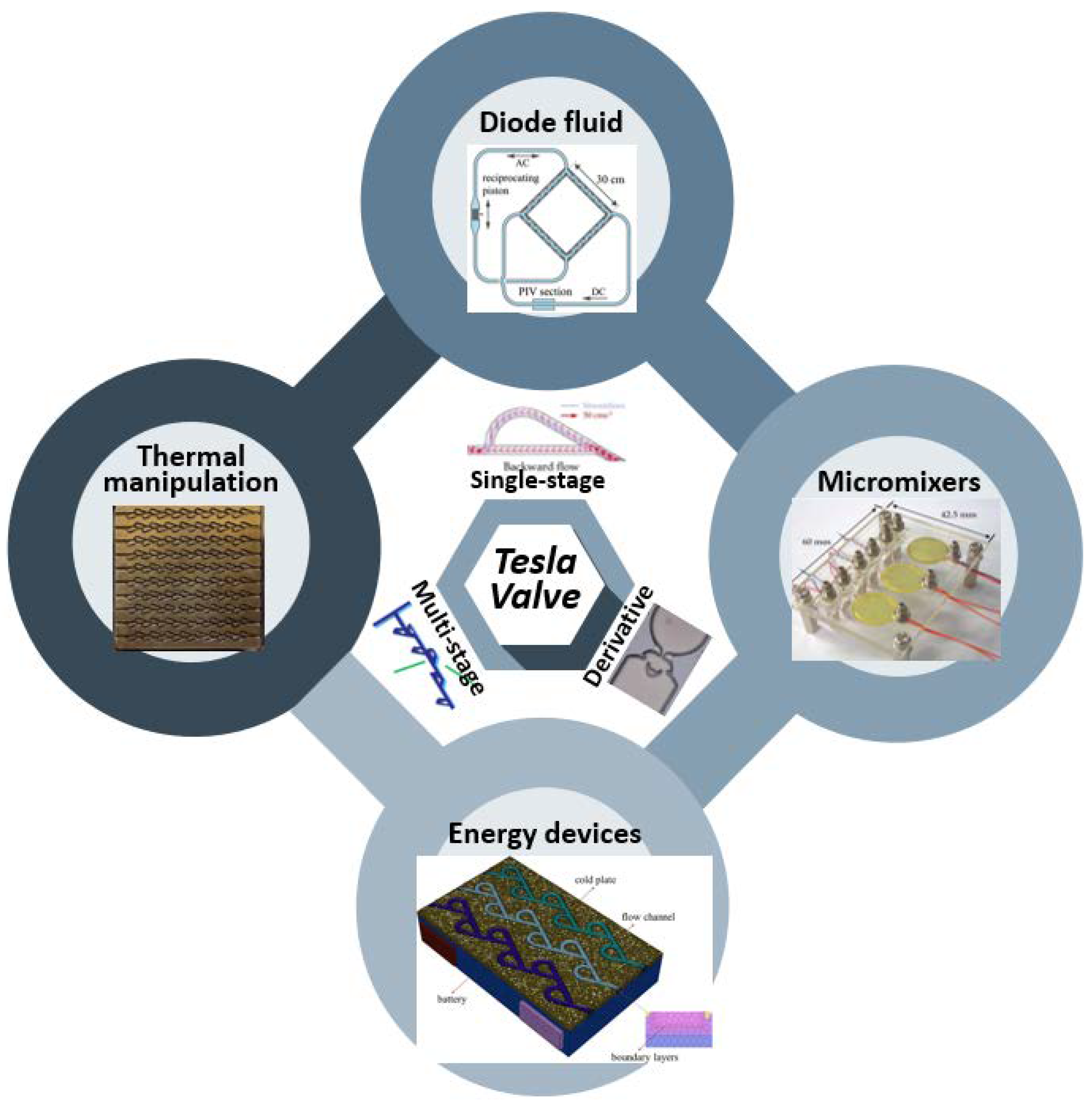 Preprints 70406 sch002