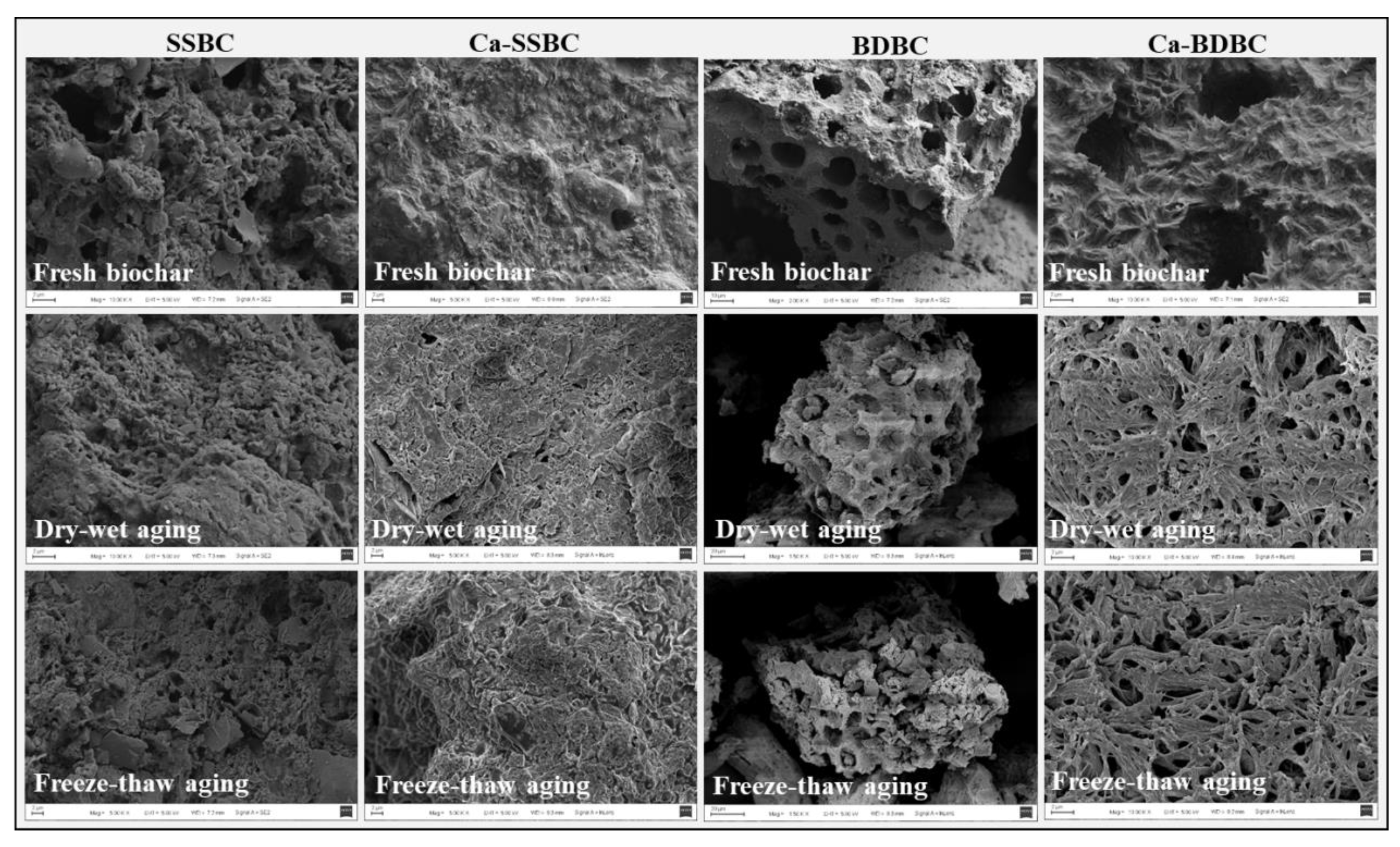 Preprints 74813 g002