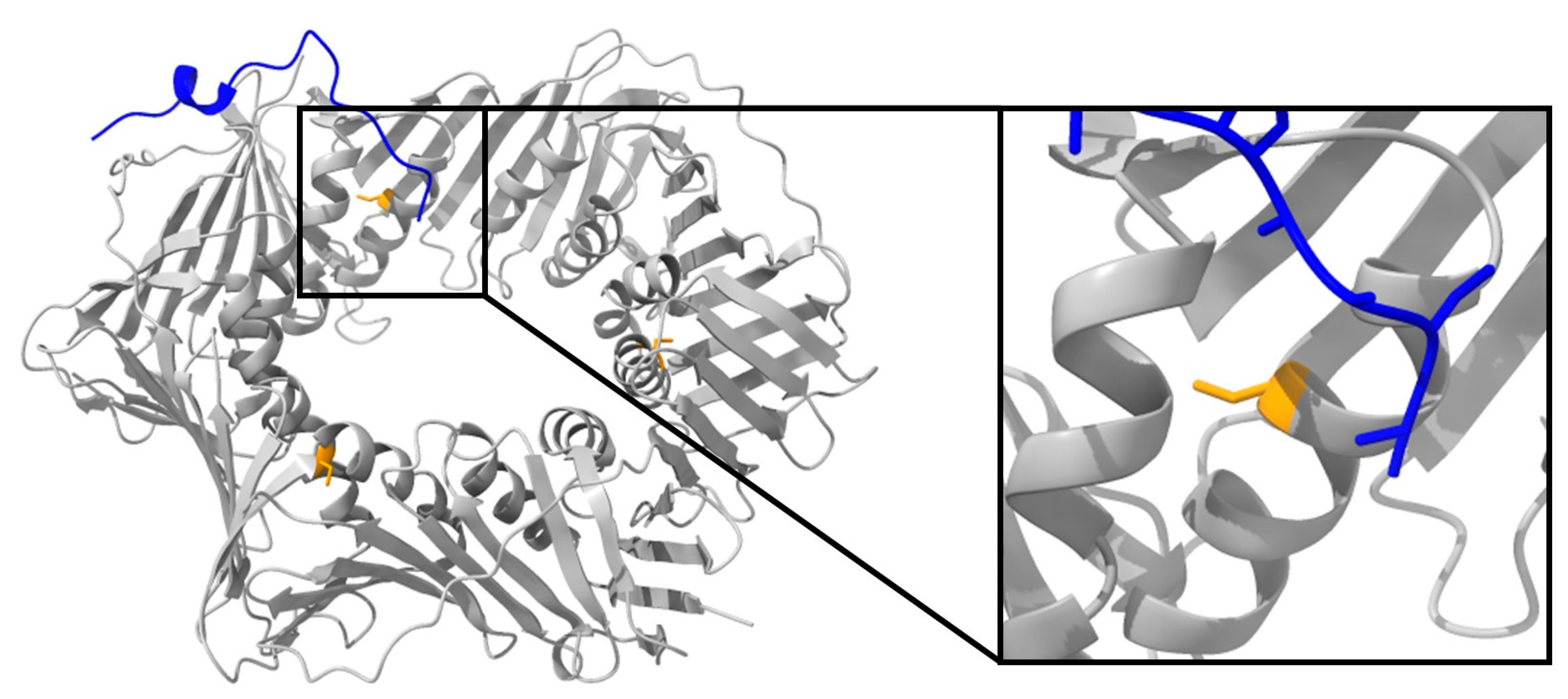 Preprints 78749 g004