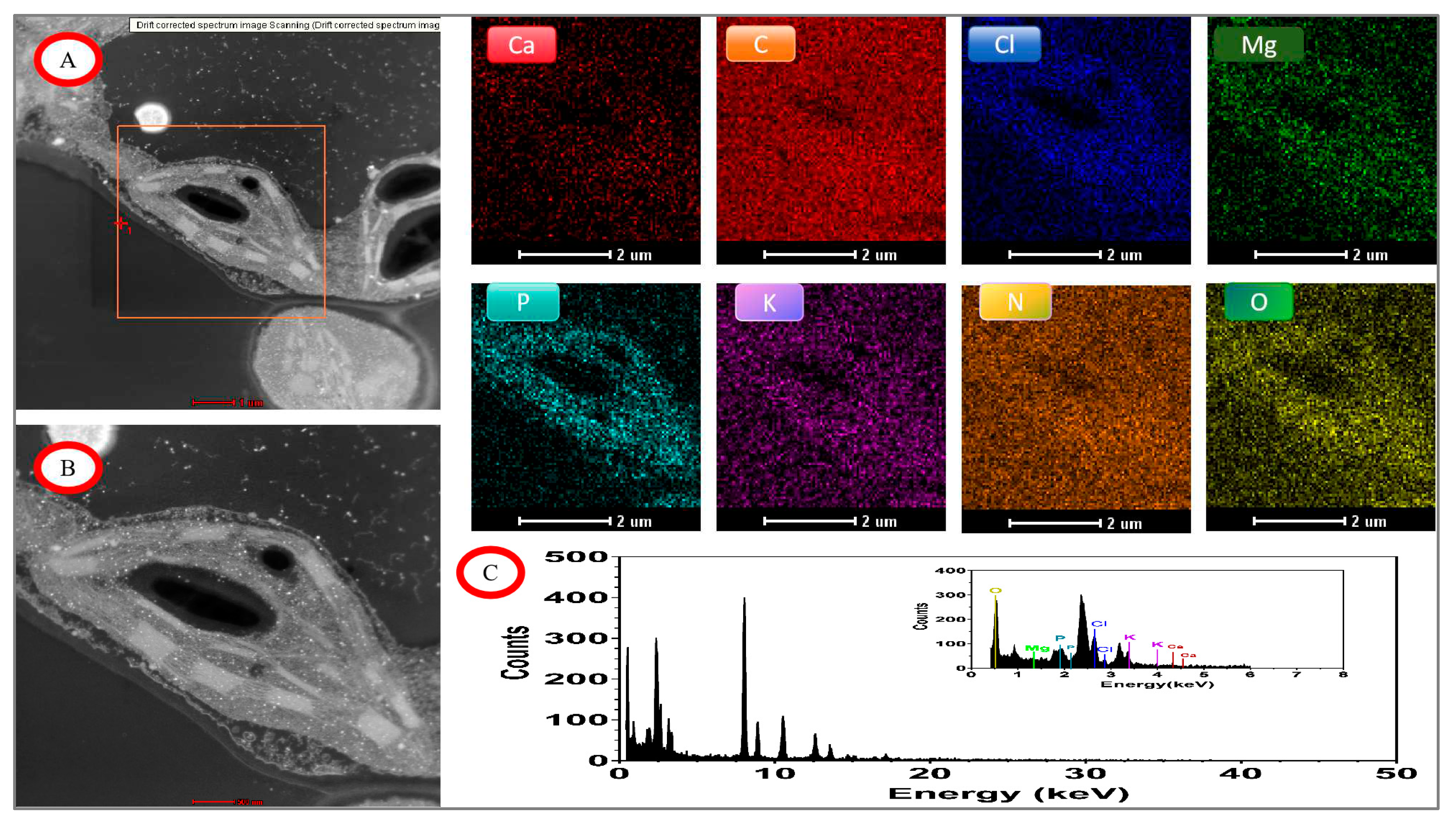 Preprints 96746 g009