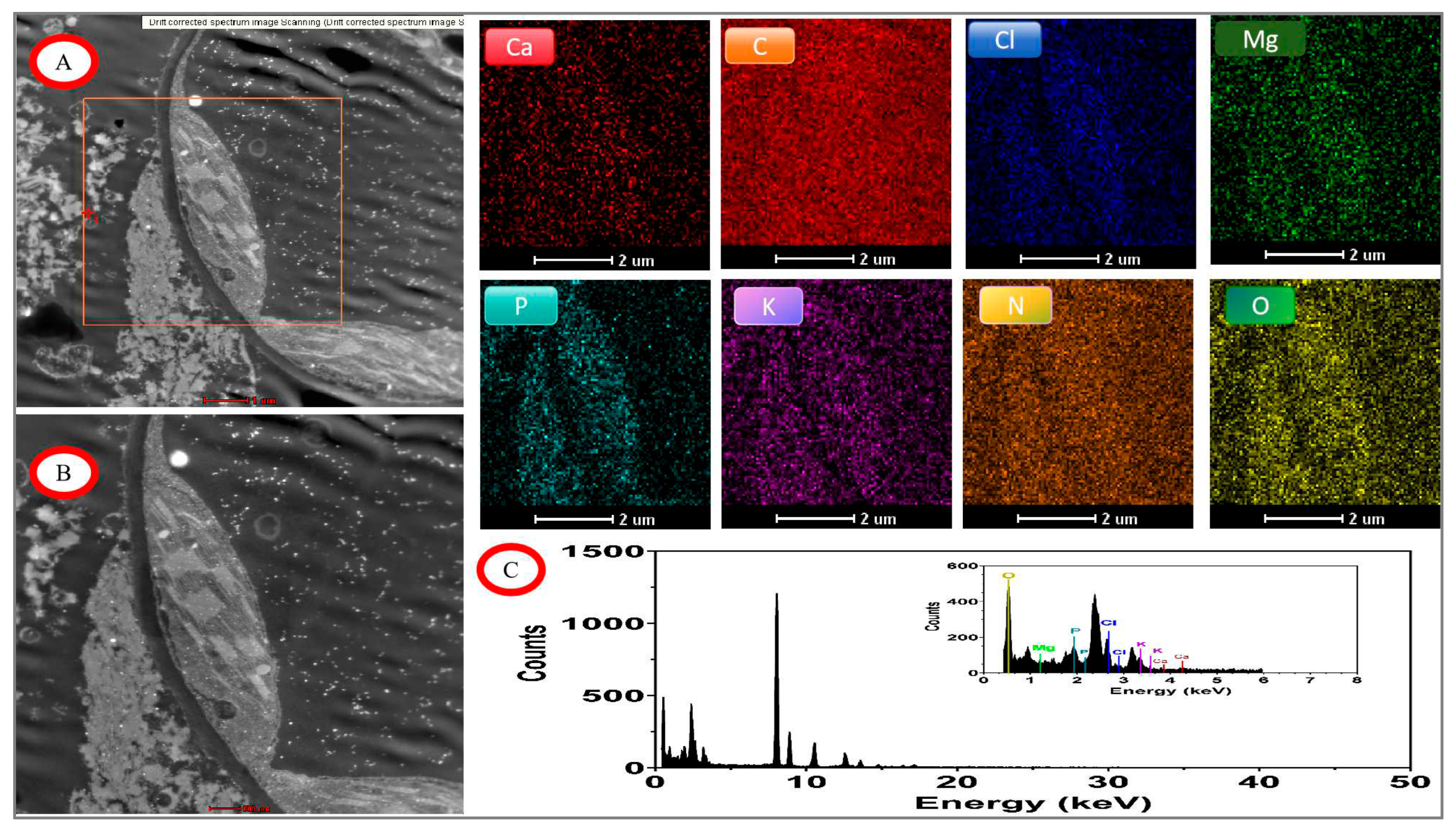 Preprints 96746 g010