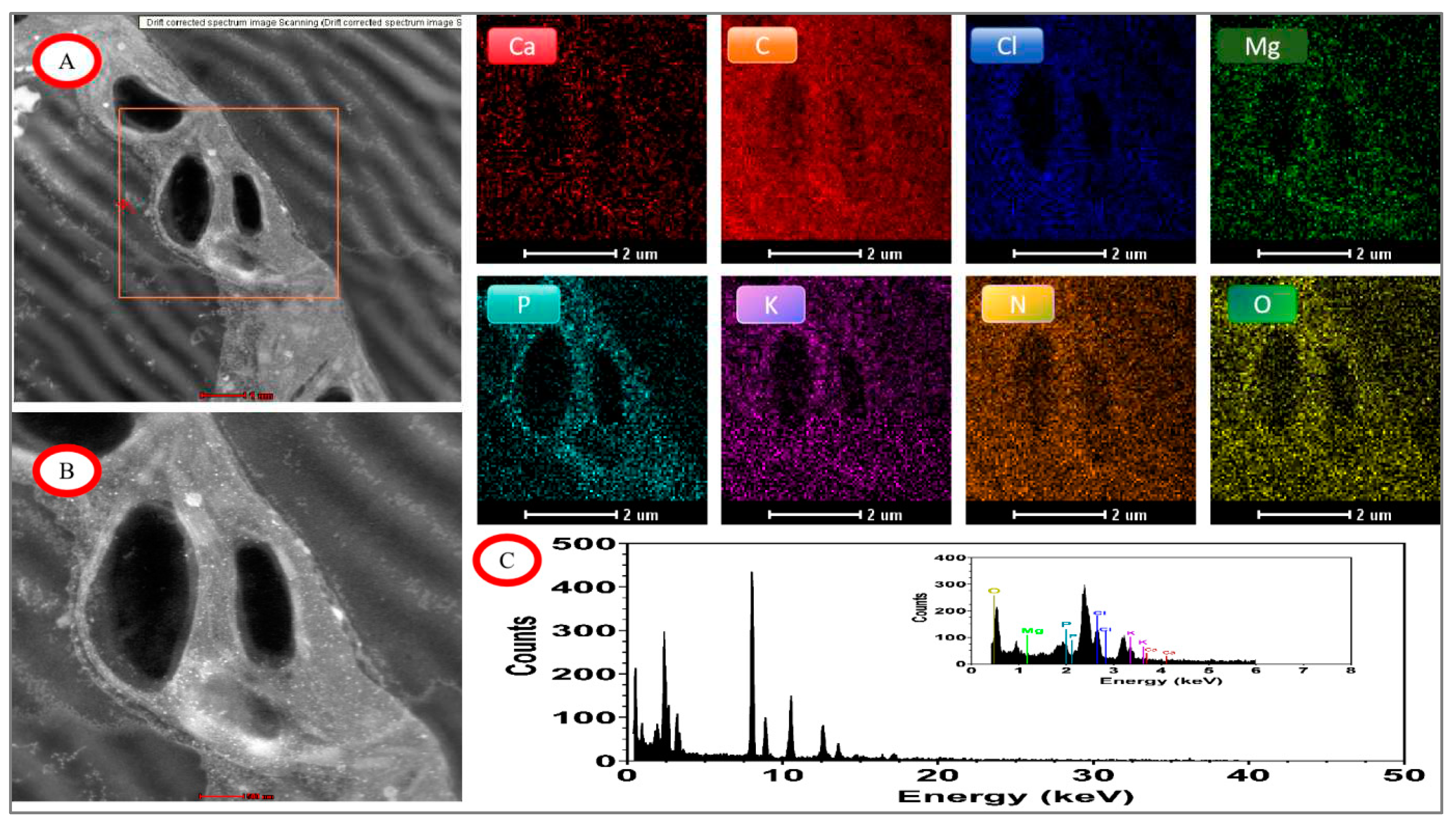 Preprints 96746 g011