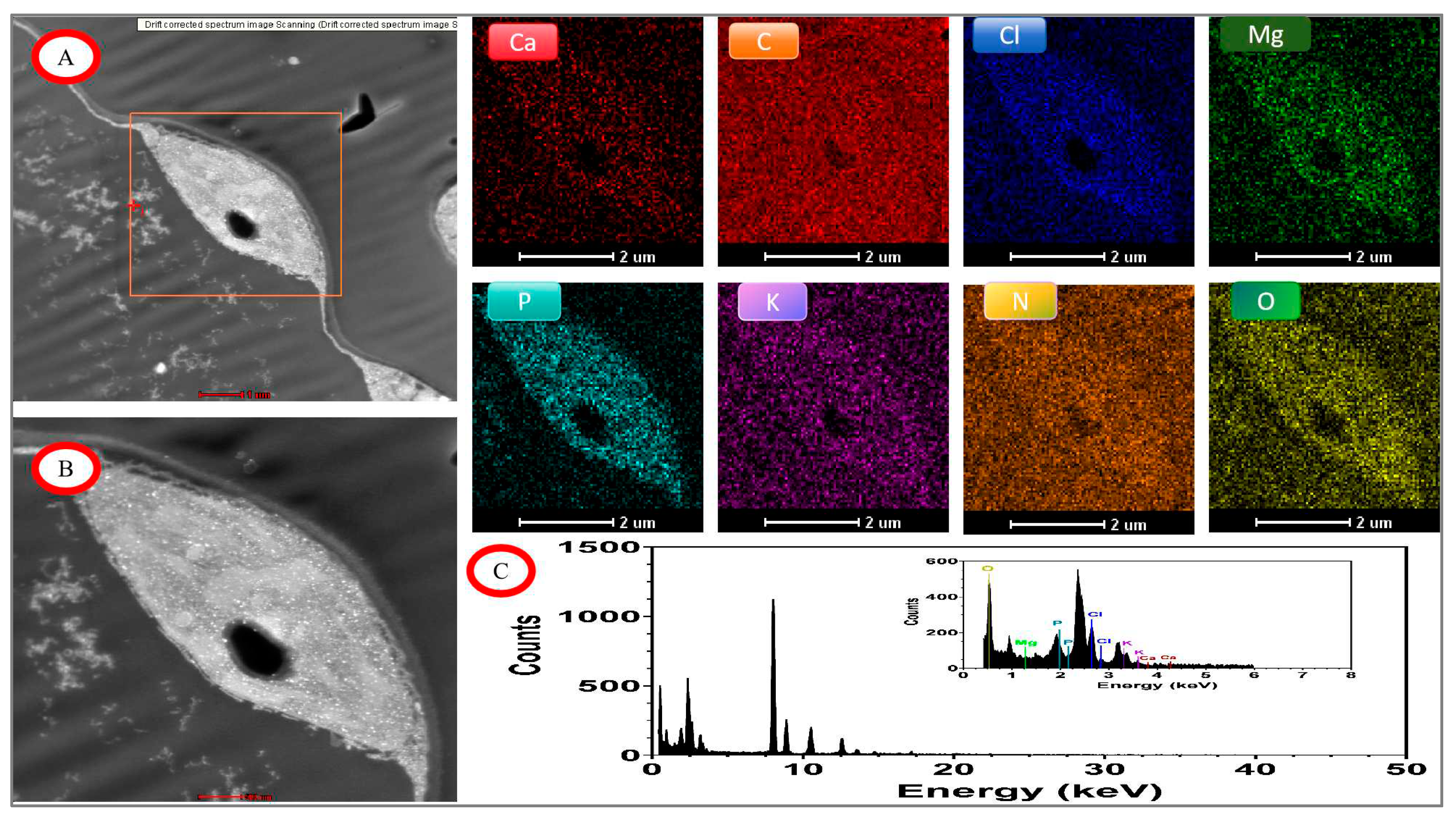 Preprints 96746 g012