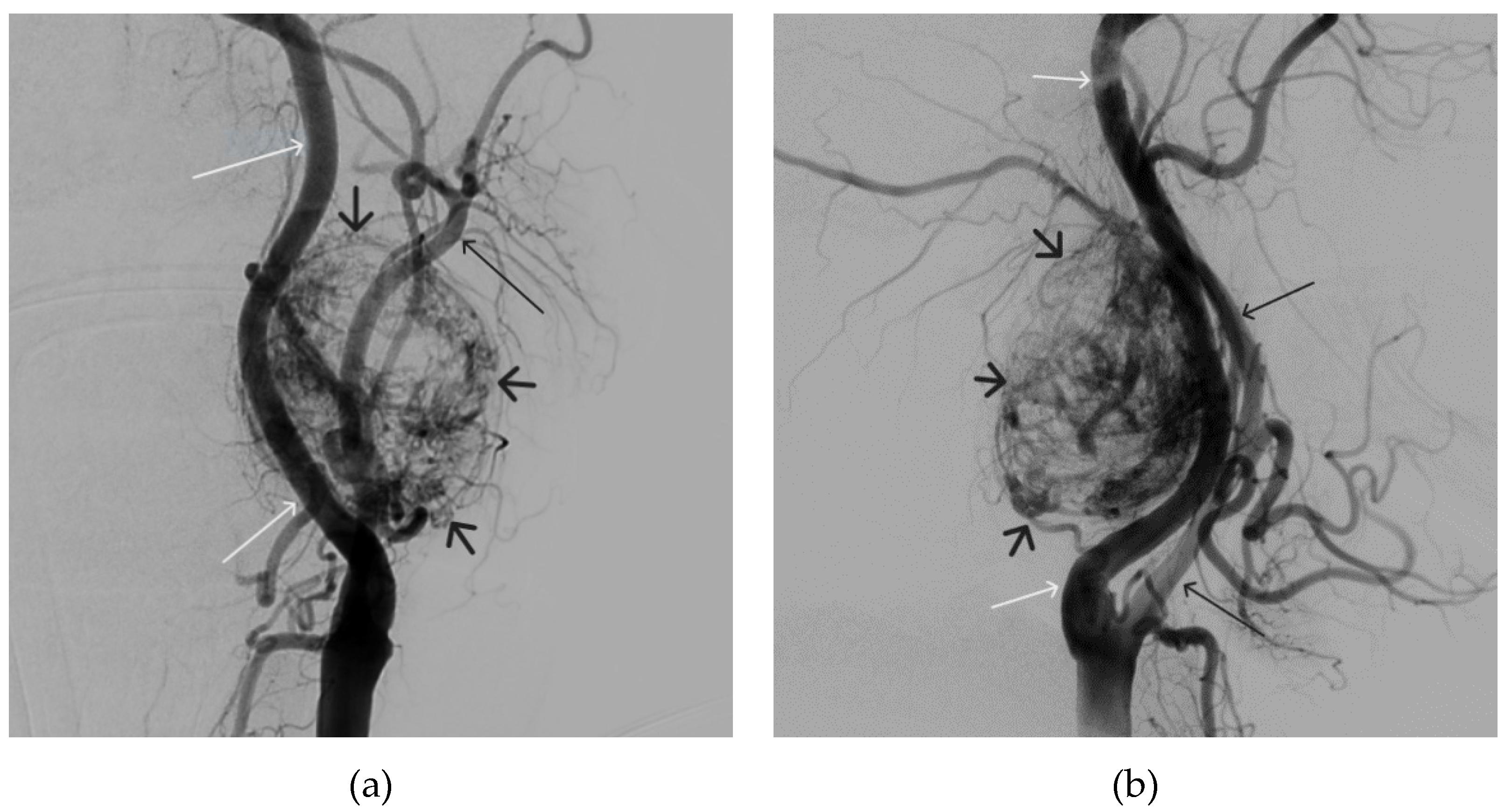 Preprints 88047 g011