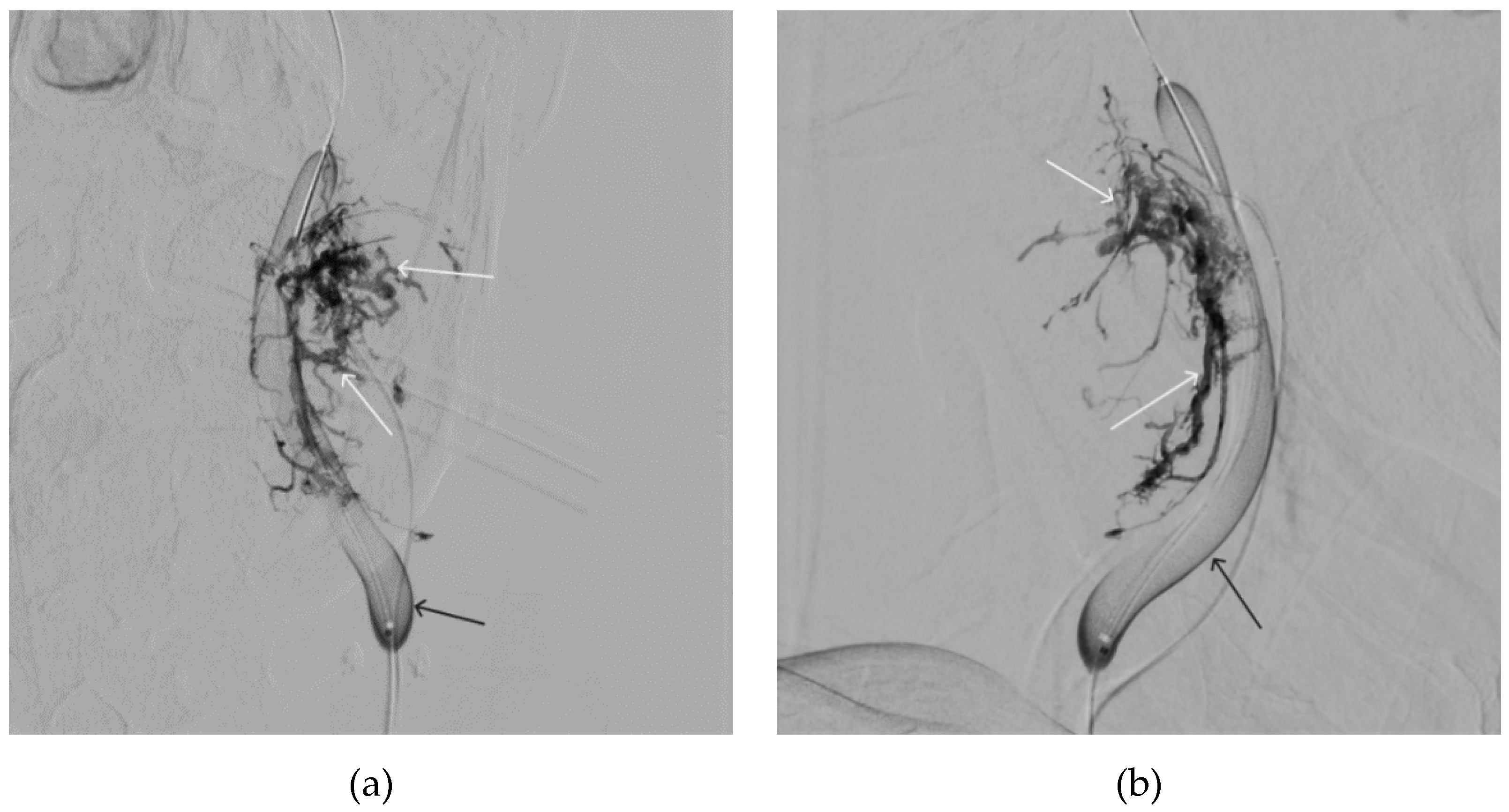 Preprints 88047 g012