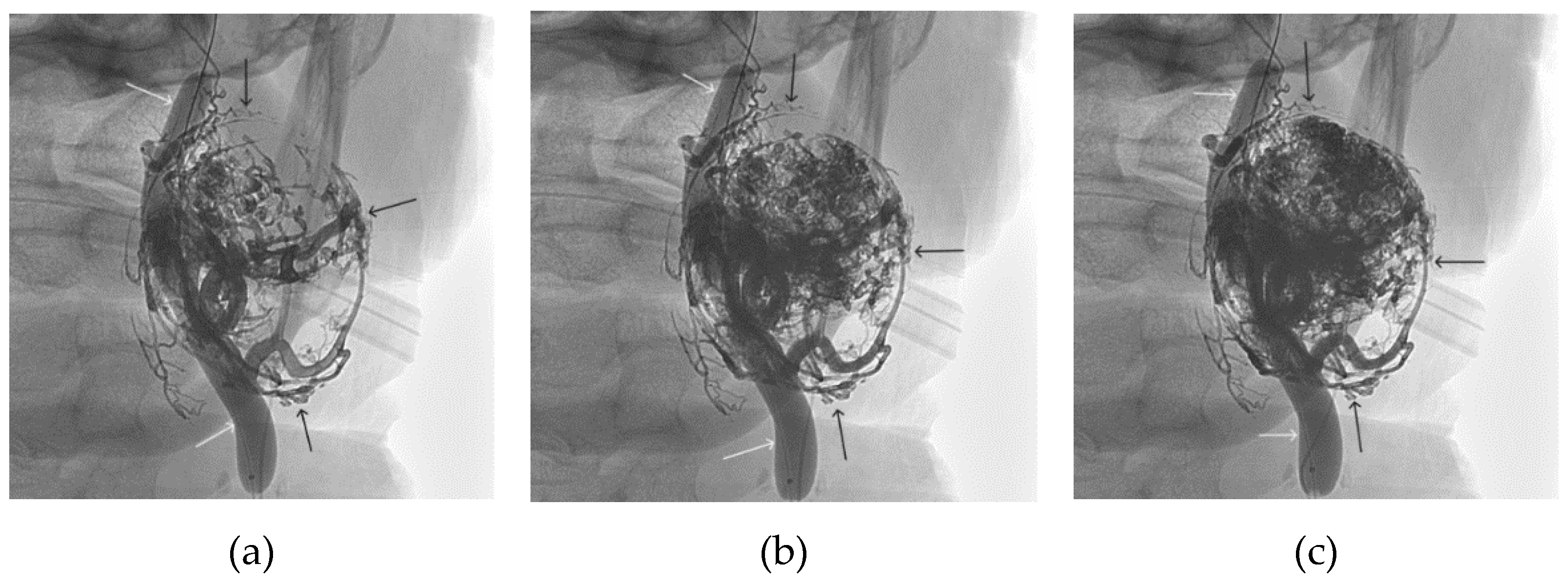 Preprints 88047 g013