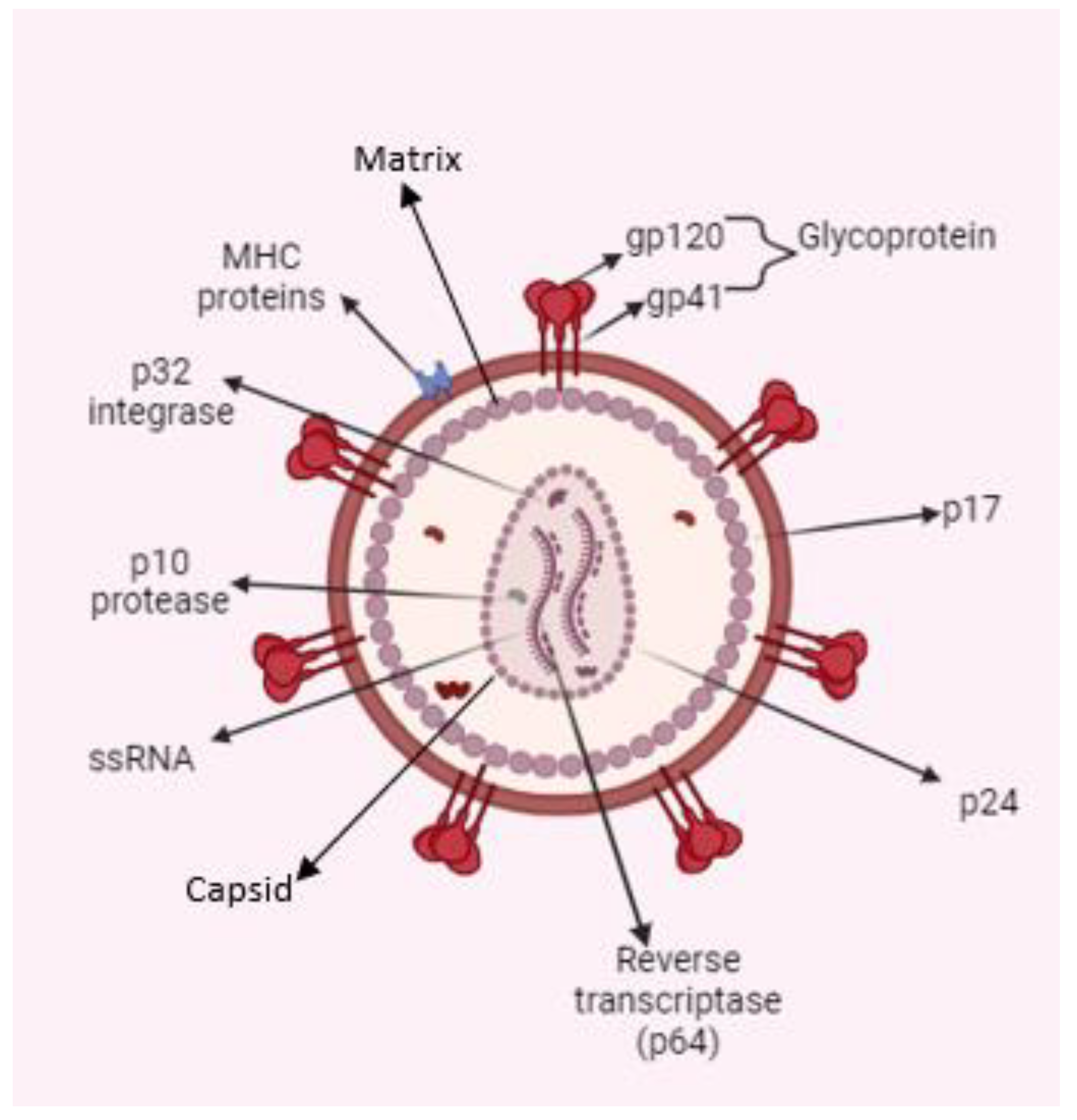 Preprints 116943 g001