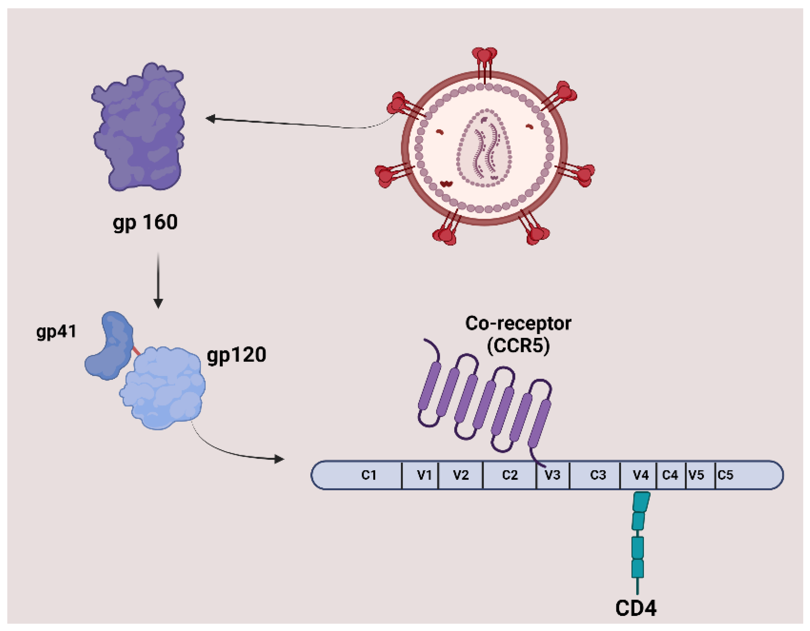 Preprints 116943 g003