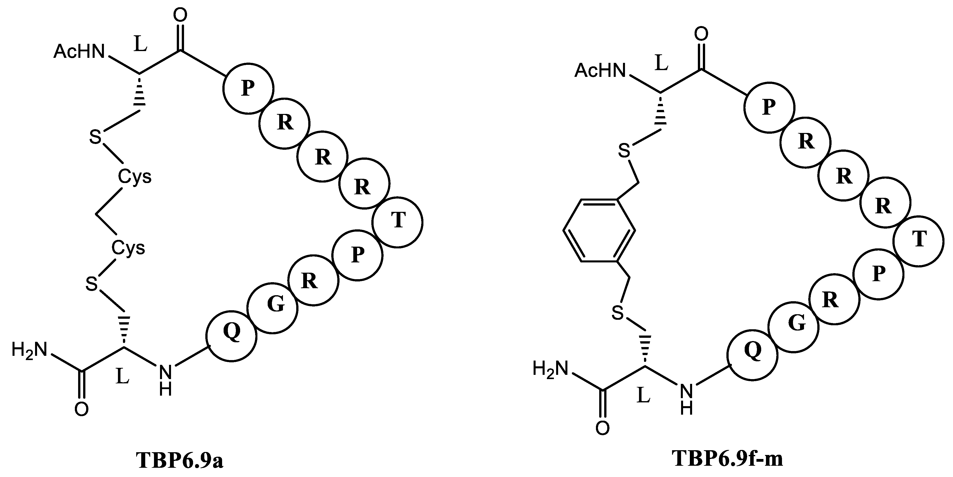 Preprints 116943 g010