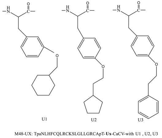 Preprints 116943 i001