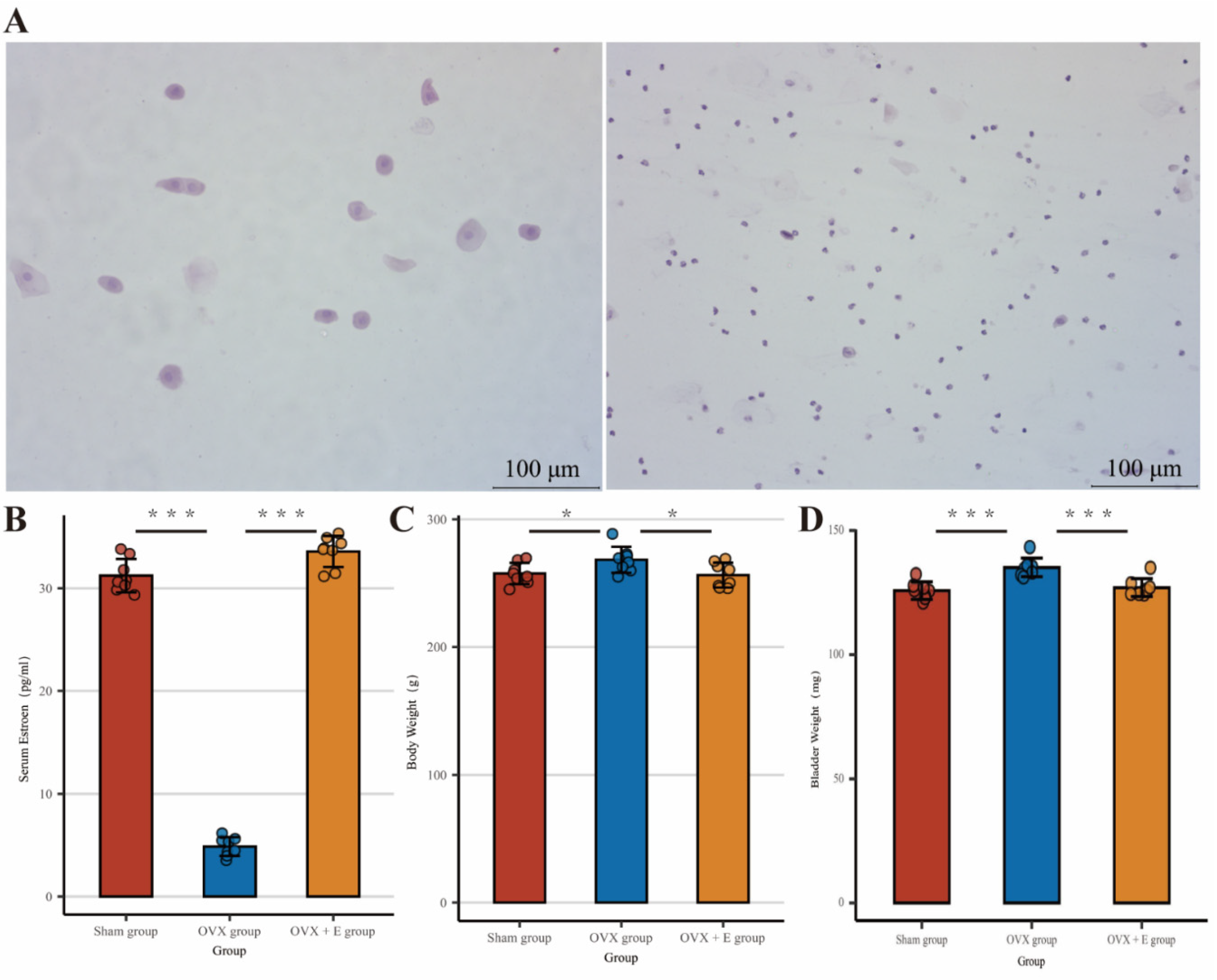 Preprints 94159 g002