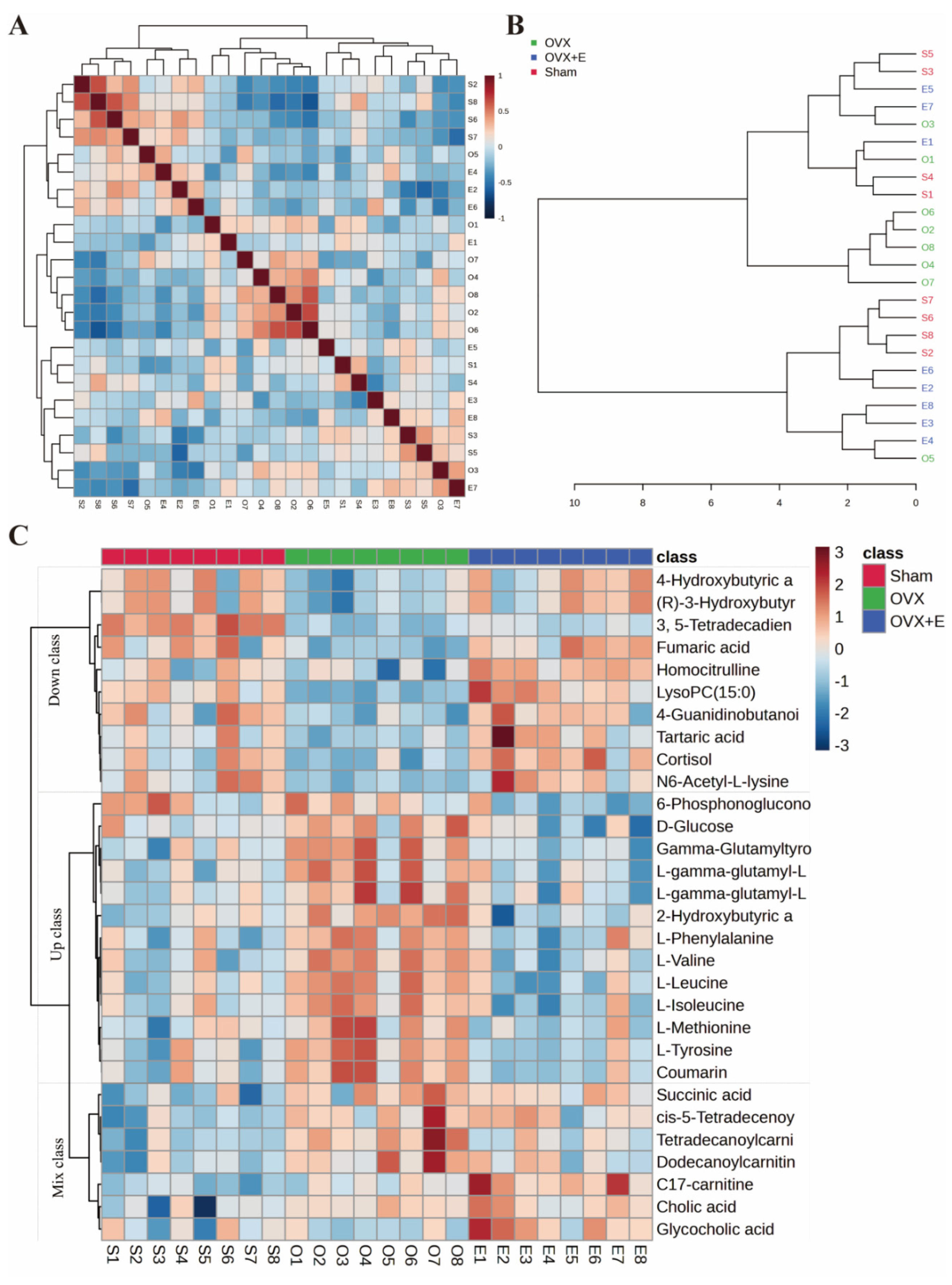 Preprints 94159 g004