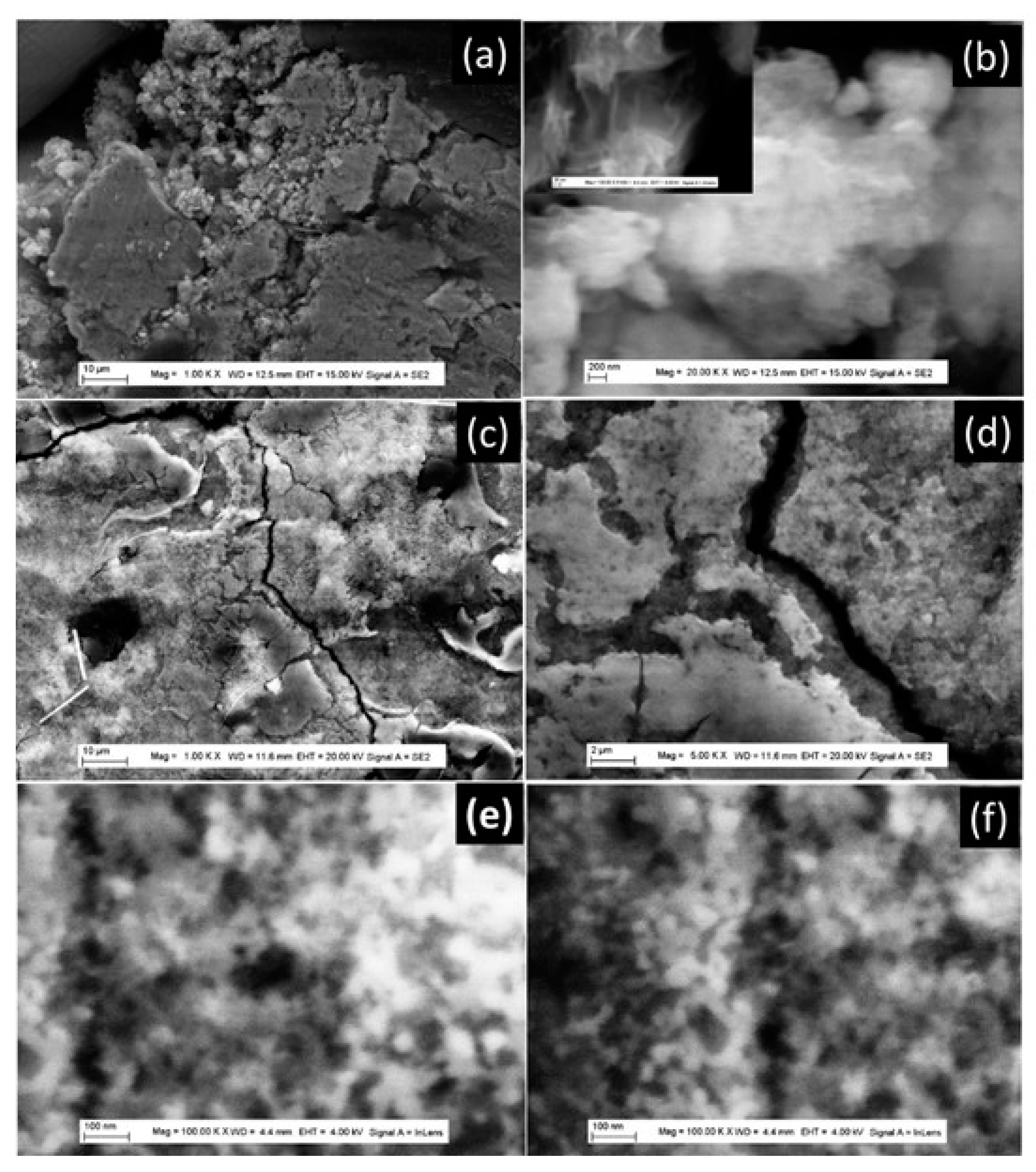 Preprints 82534 g008