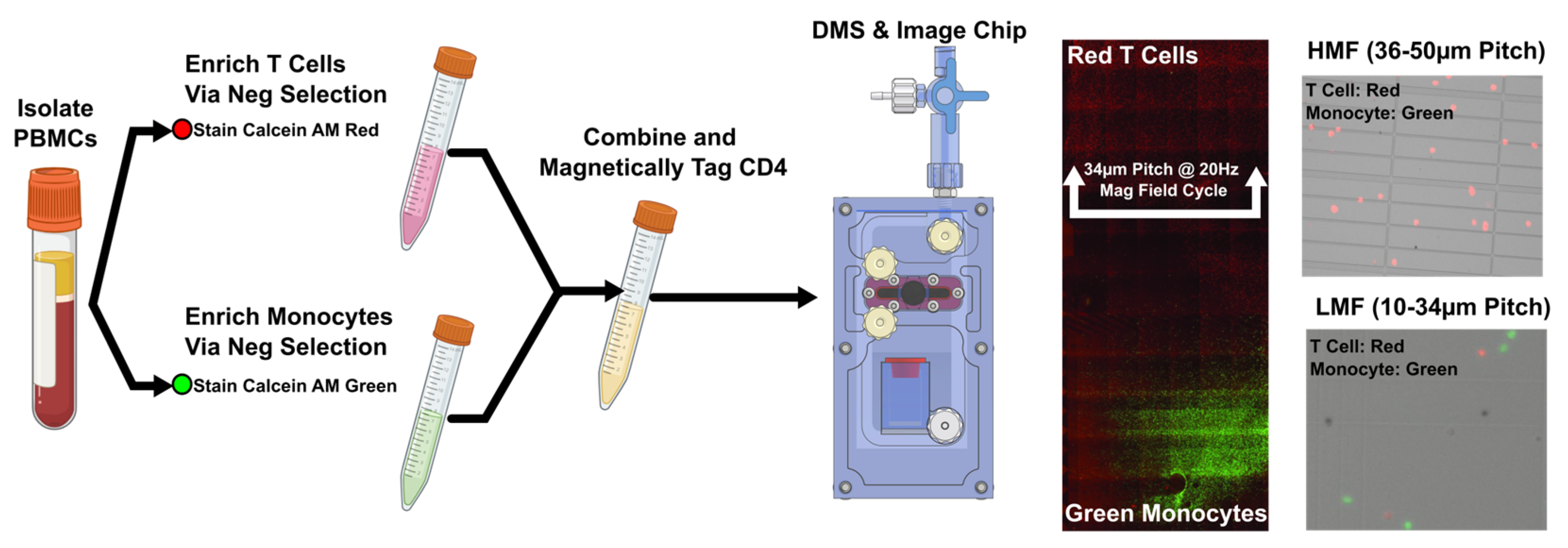 Preprints 118202 g0a3