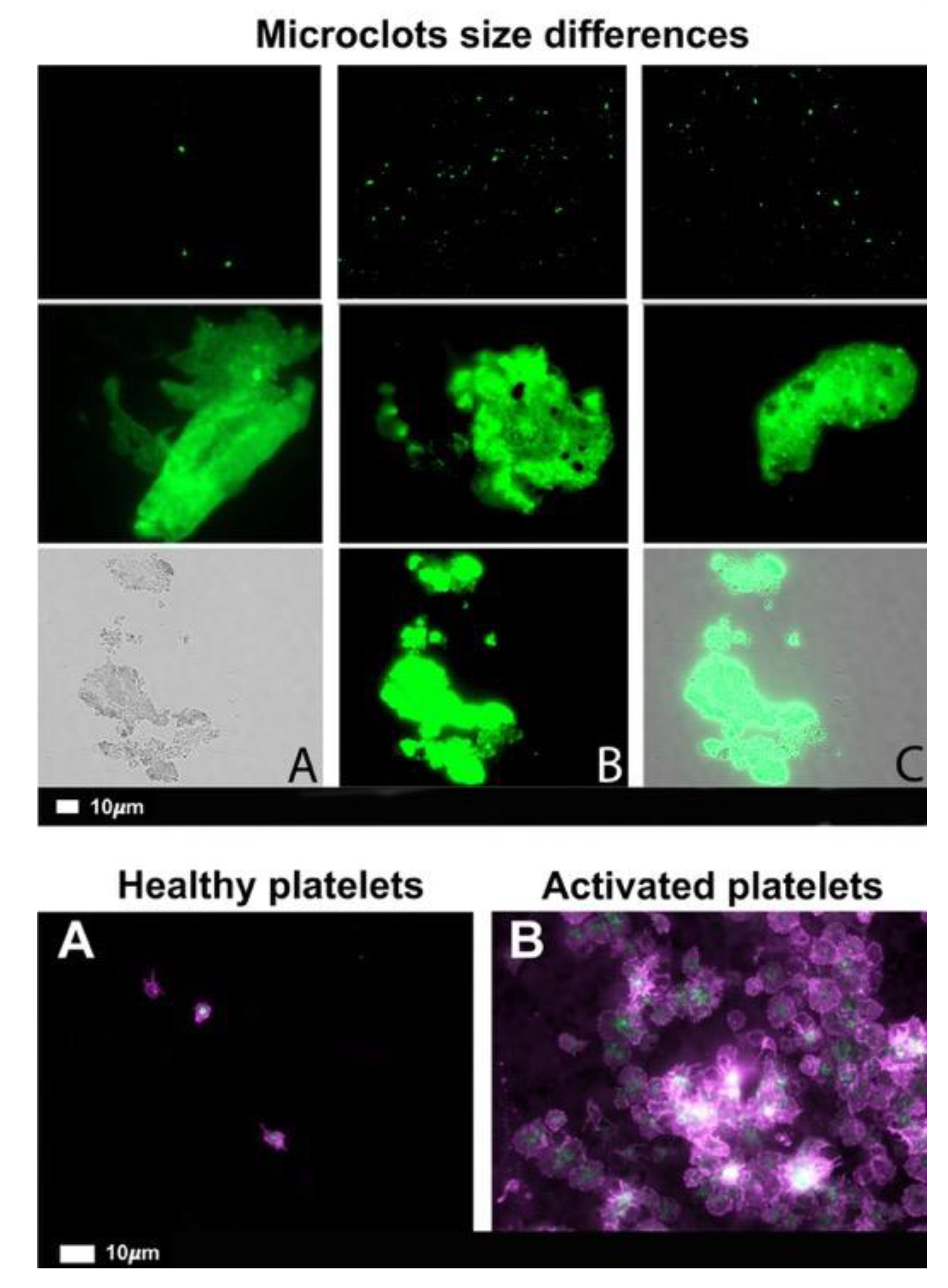 Preprints 97434 g005