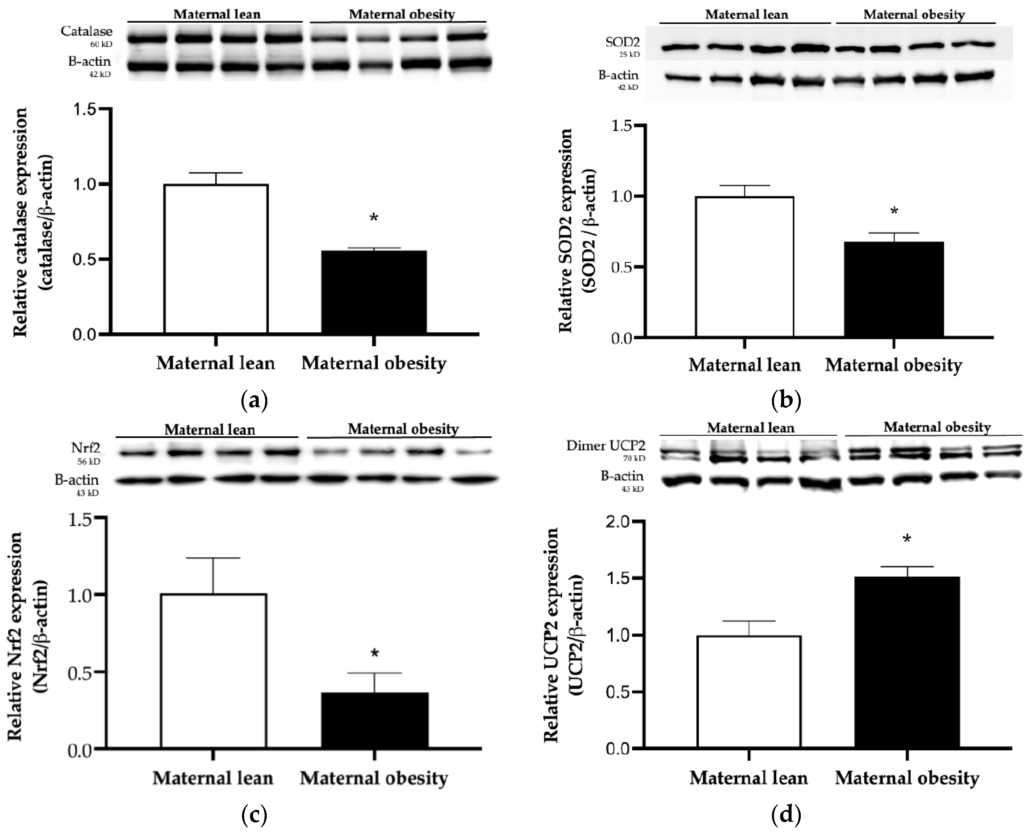 Preprints 116568 g007