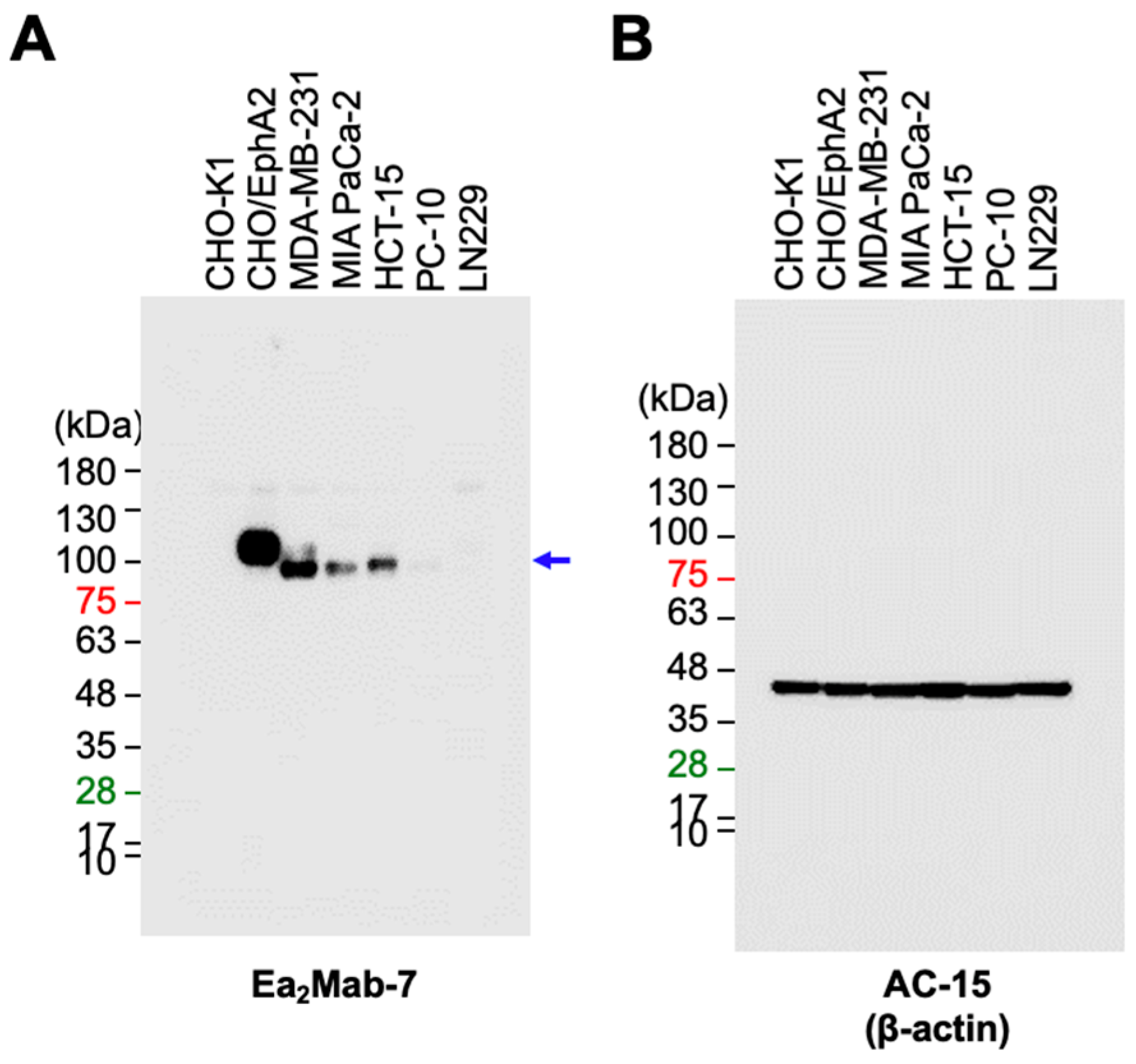 Preprints 120535 g005