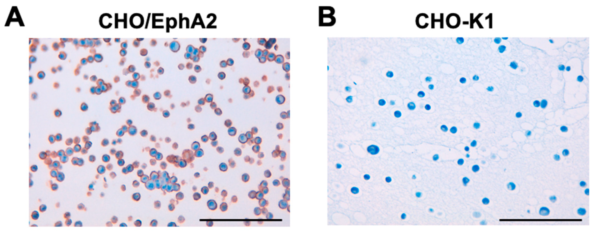 Preprints 120535 g006