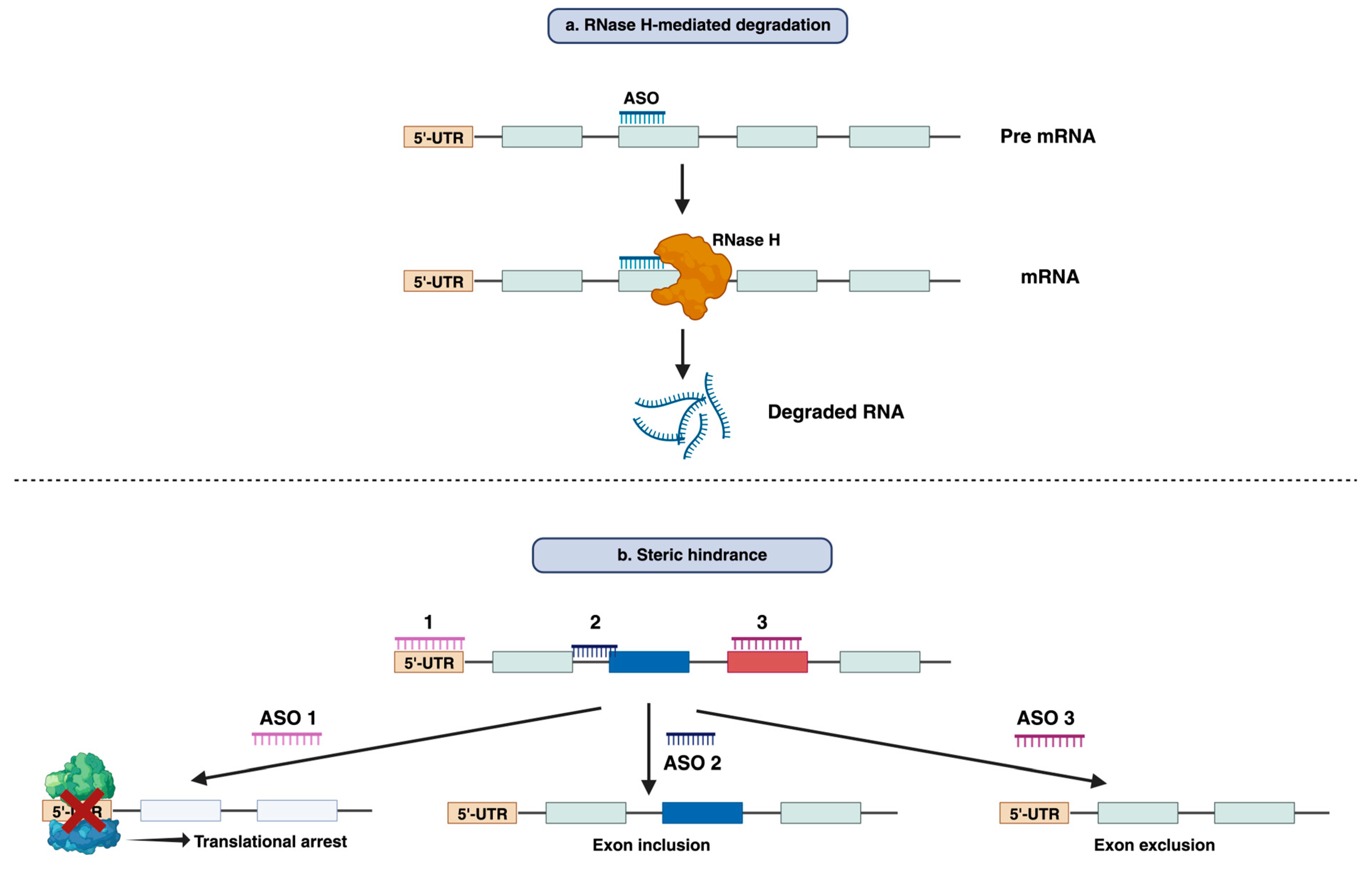 Preprints 83339 g001