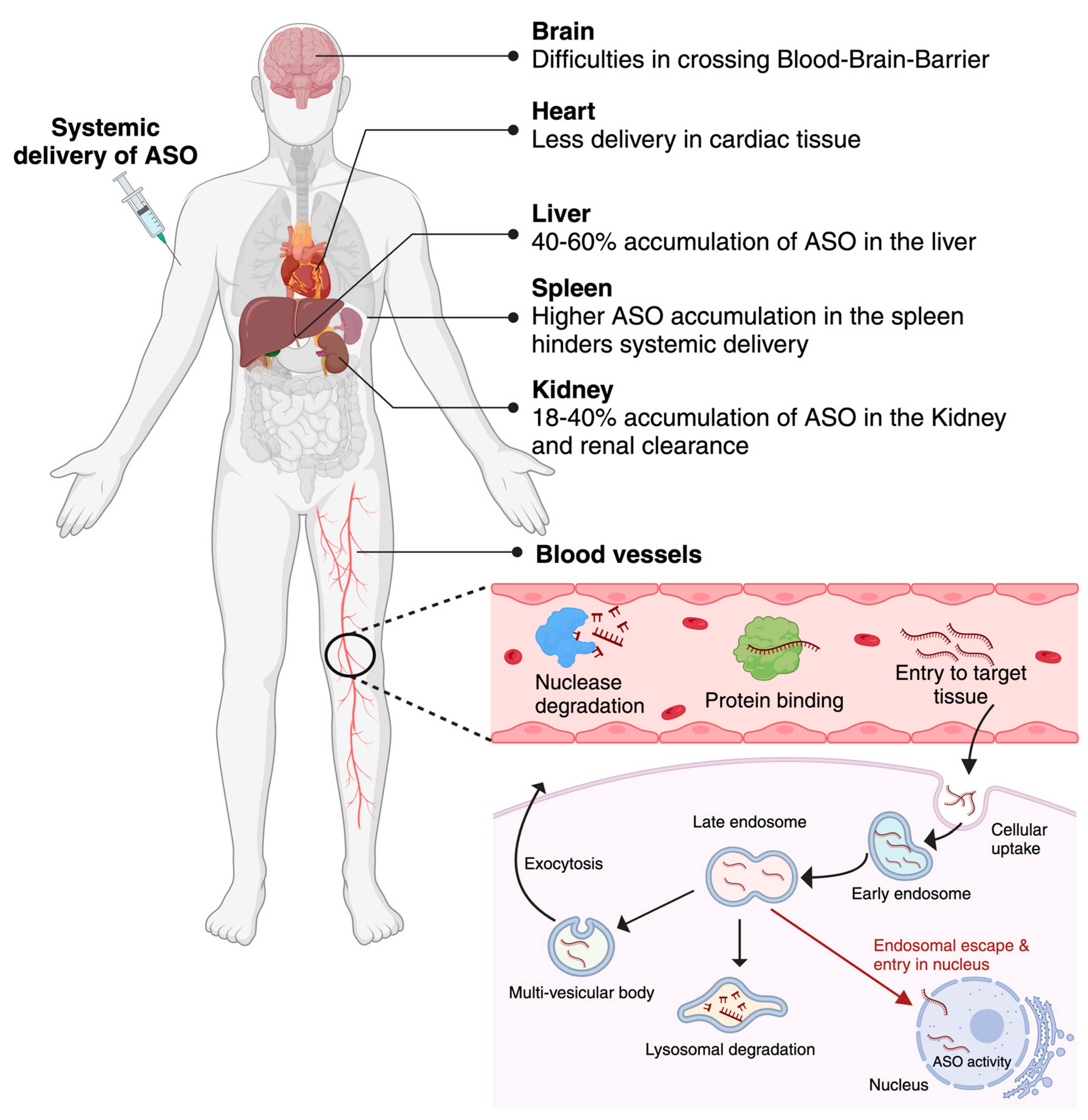 Preprints 83339 g002