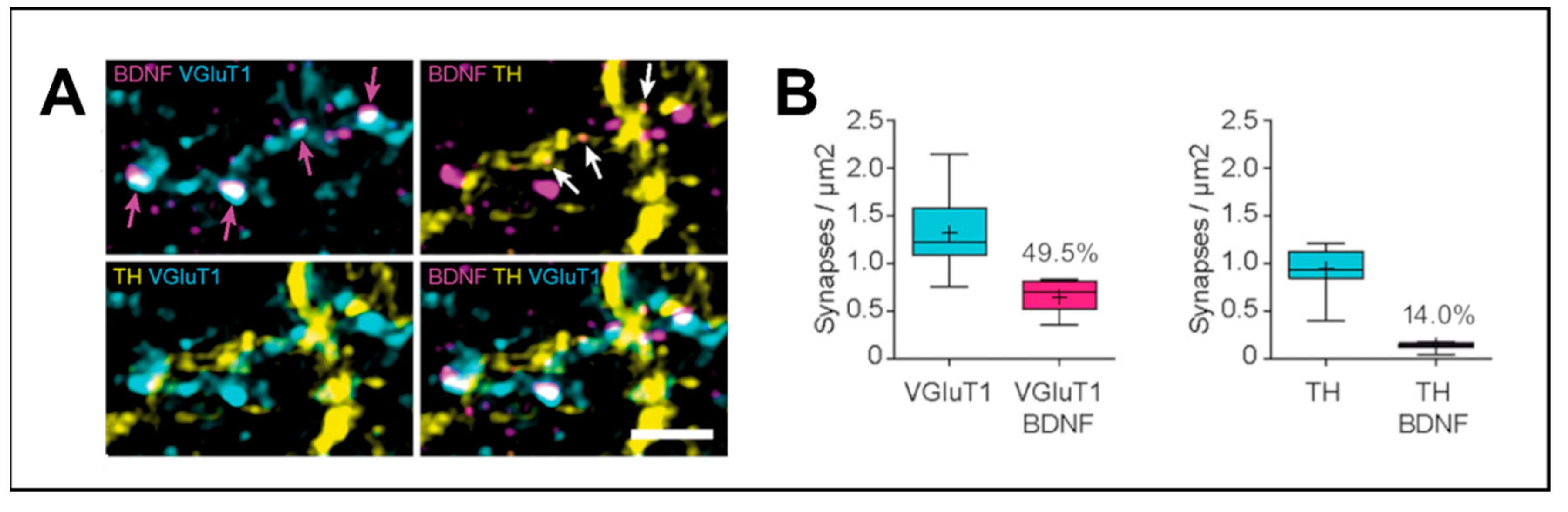 Preprints 111099 g001