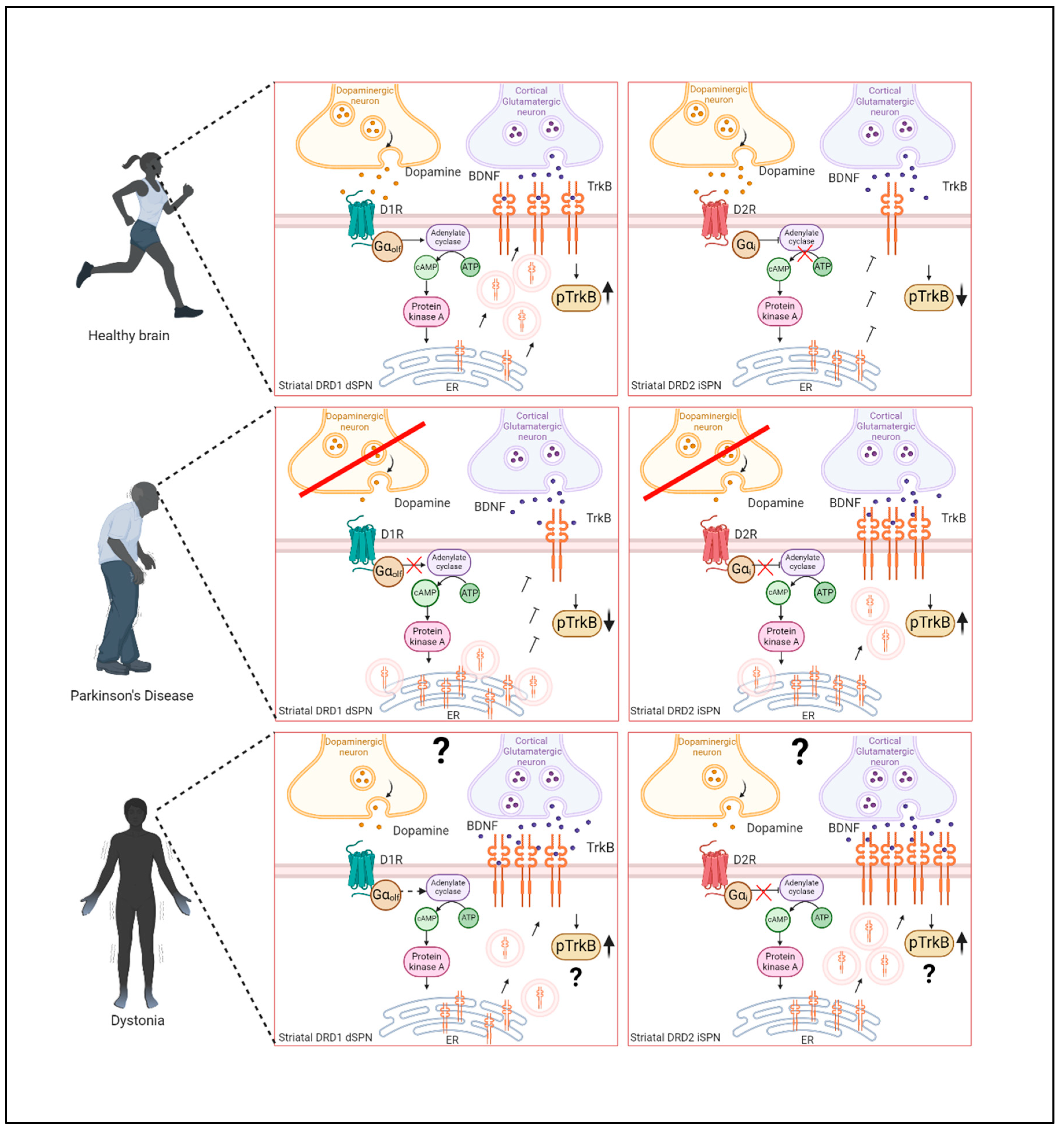 Preprints 111099 g004